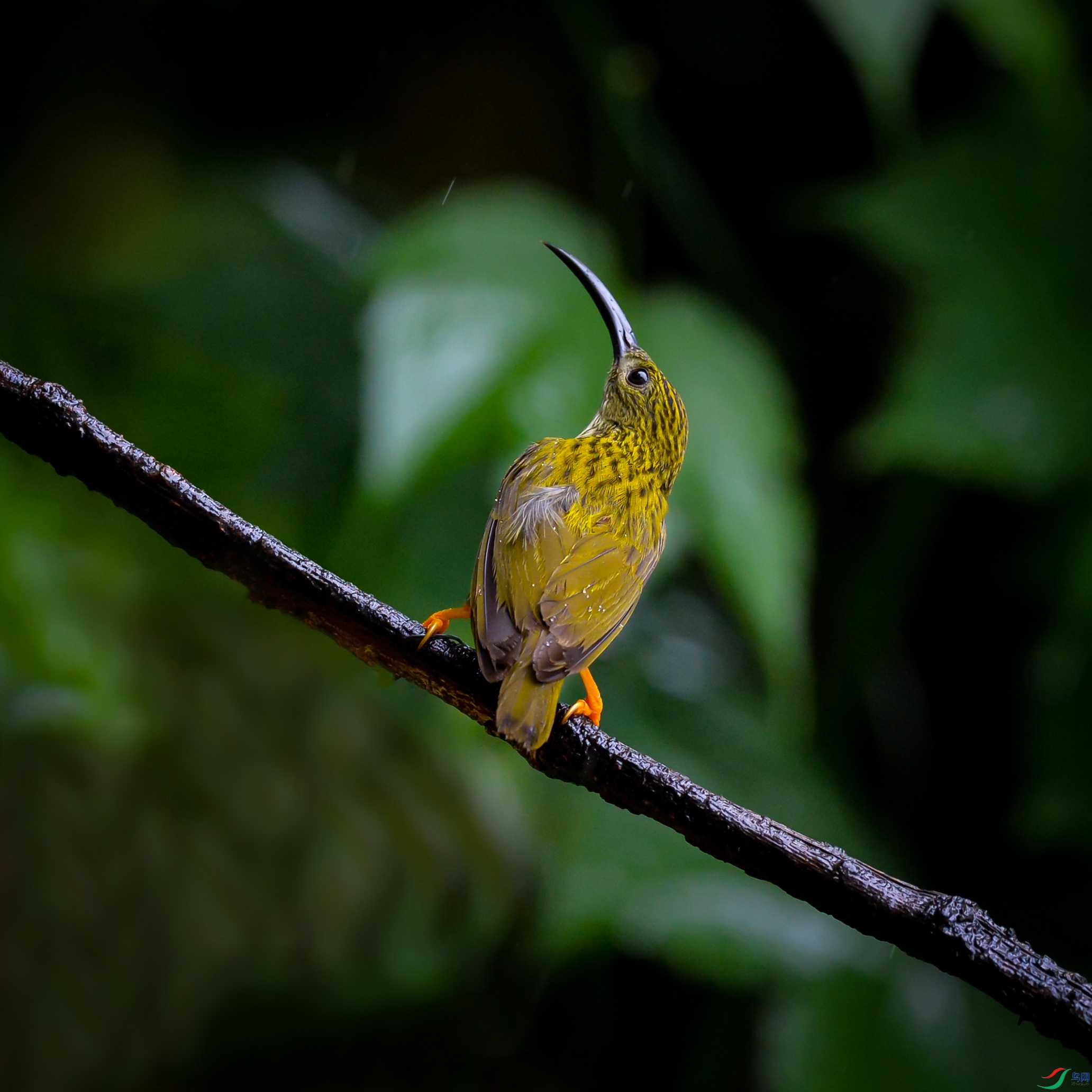 DSC_3803.jpg