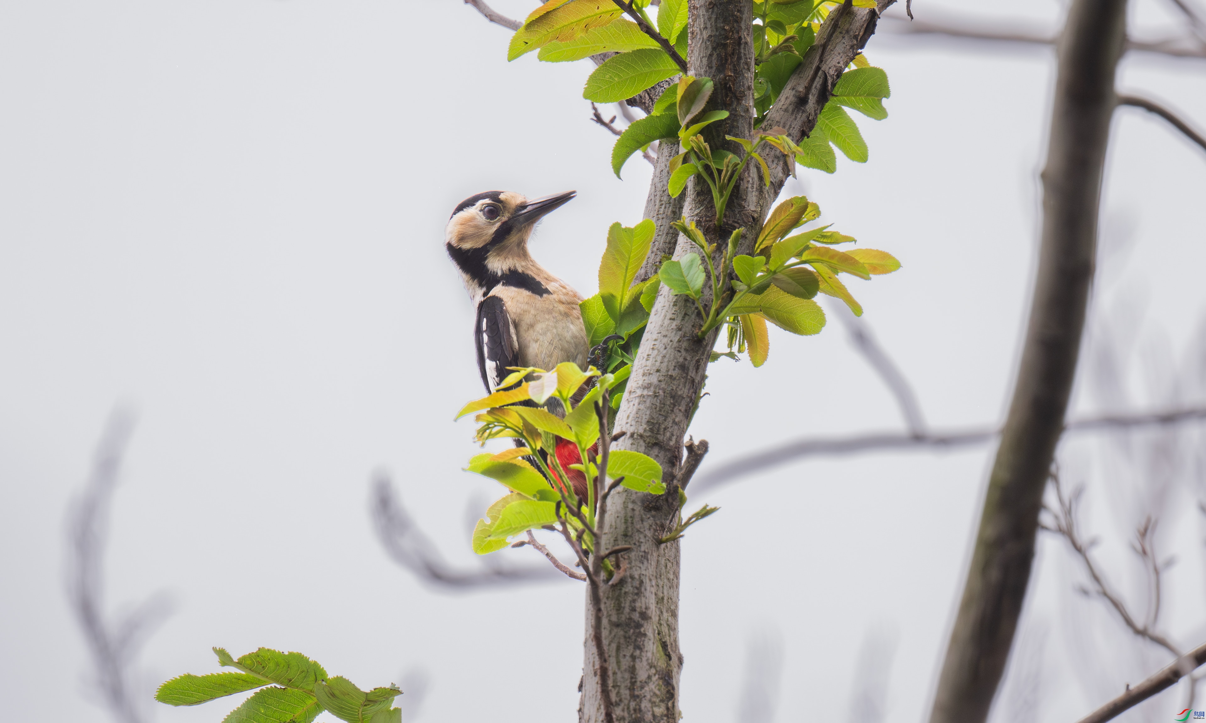 DSC_7055.jpg