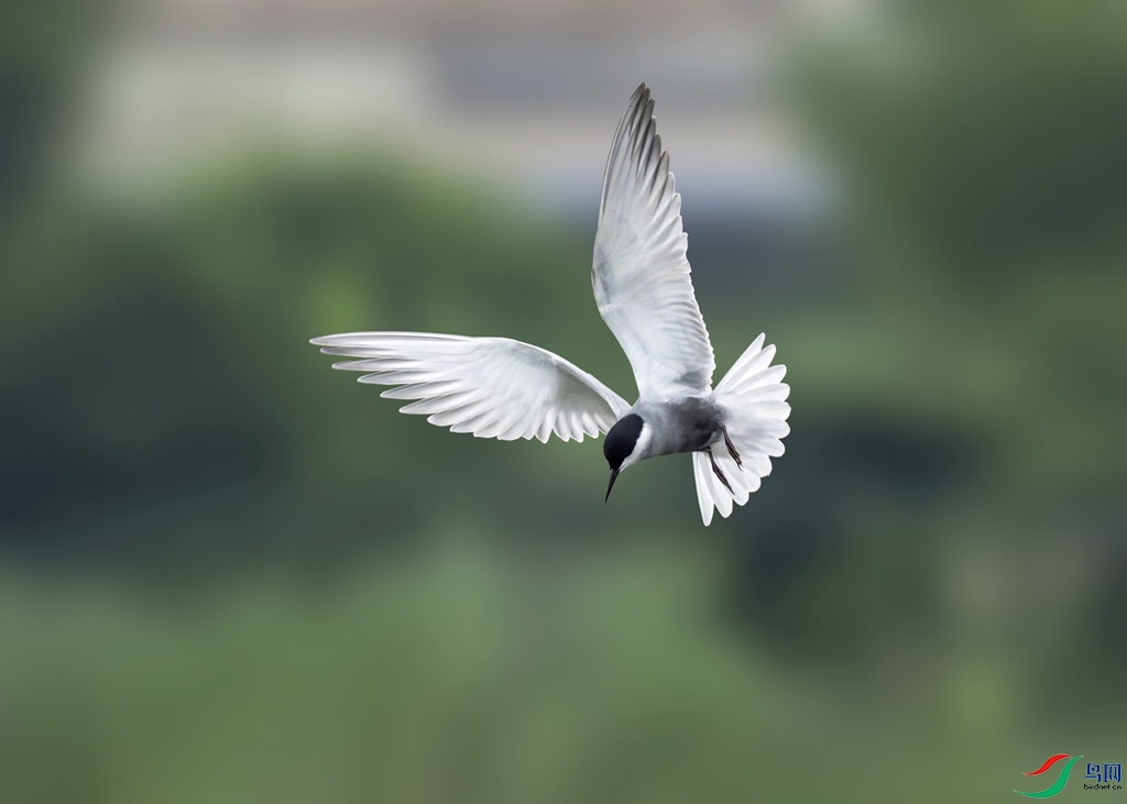 _DSC9509-.jpg