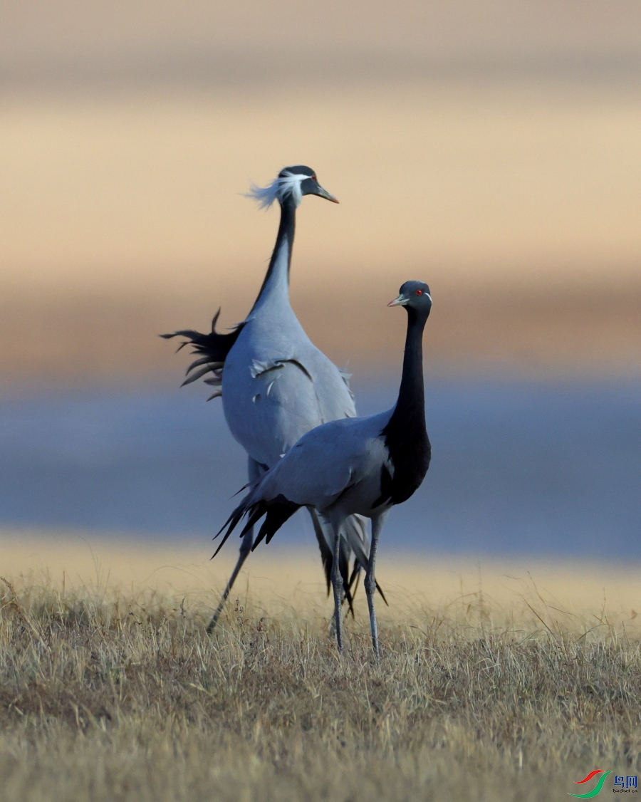 2.JPG
