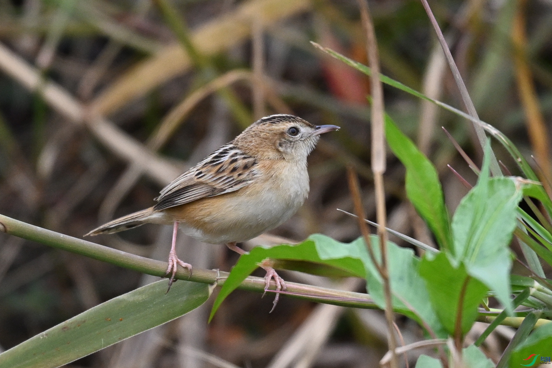 DSC_8984.JPG