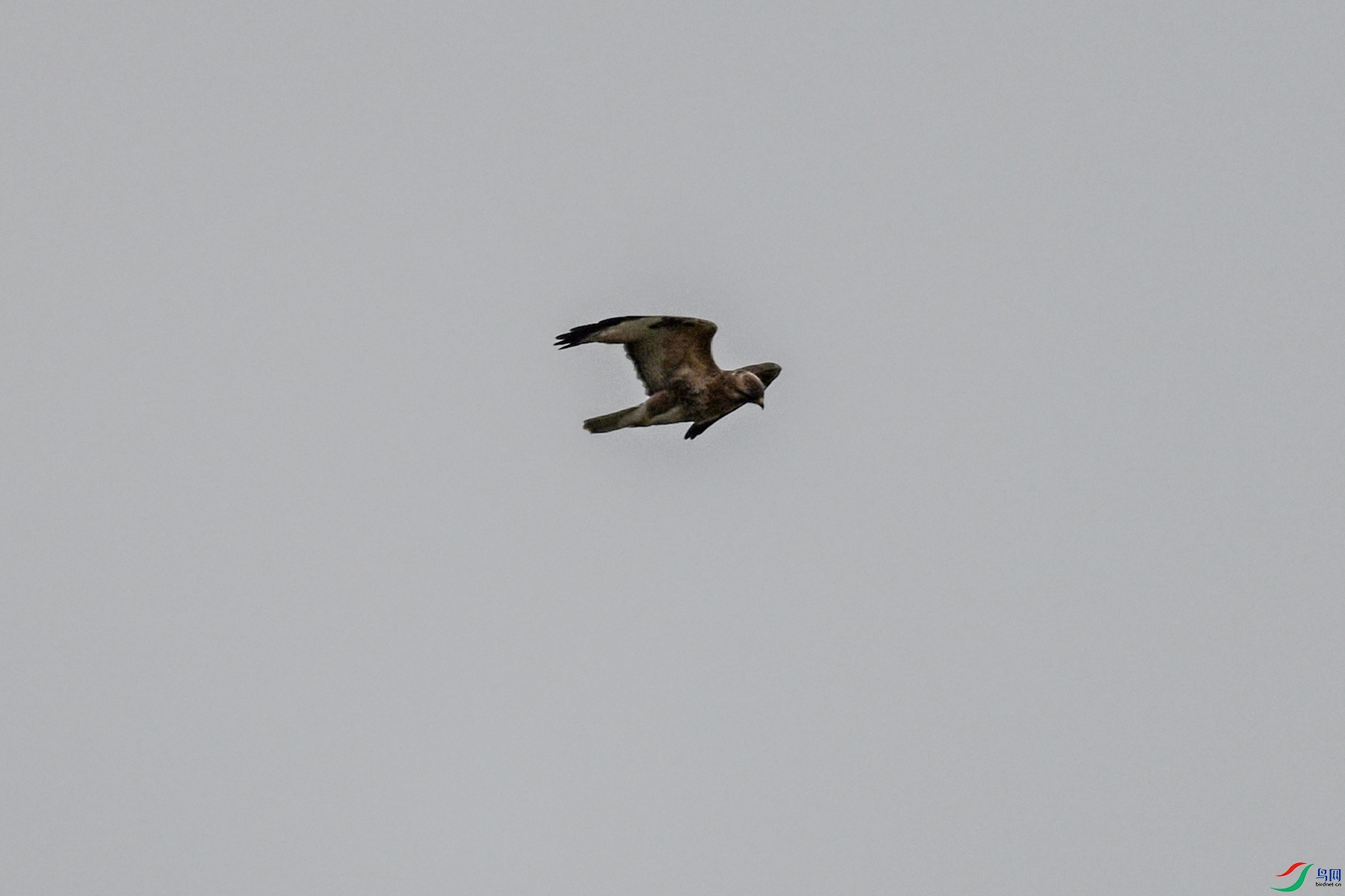 DSC_8970.JPG