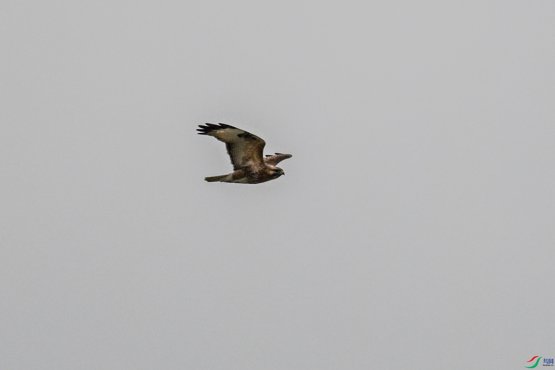 DSC_8972.JPG