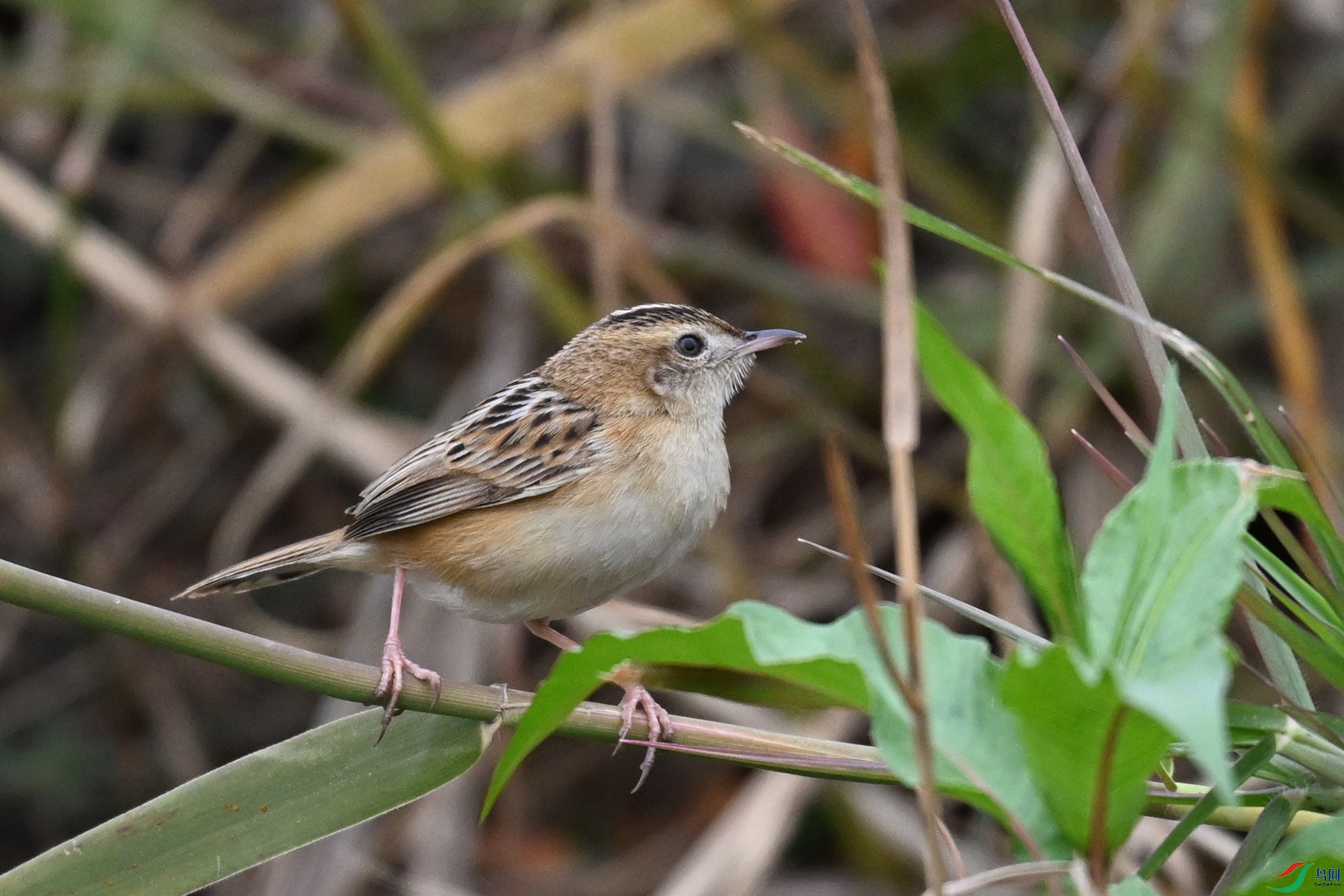 DSC_8983.JPG