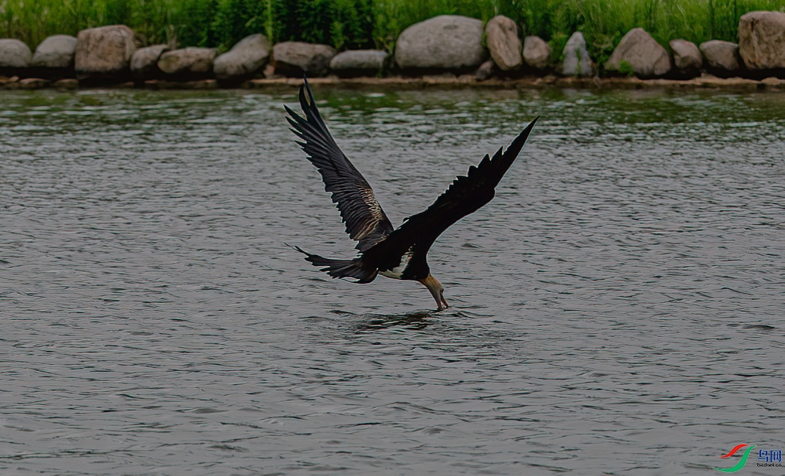 DSC_0319-11.jpg