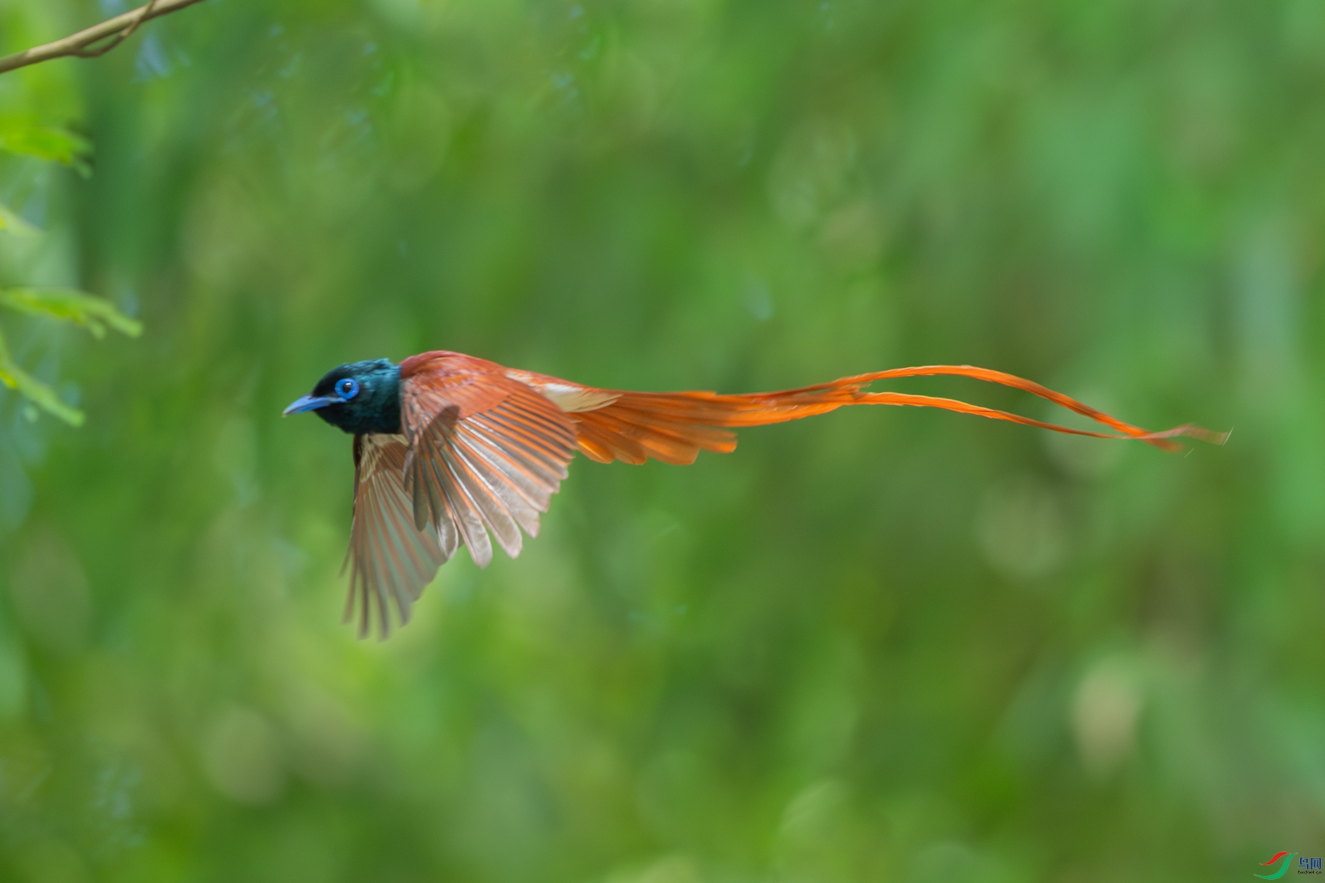 DSC_2782.jpg
