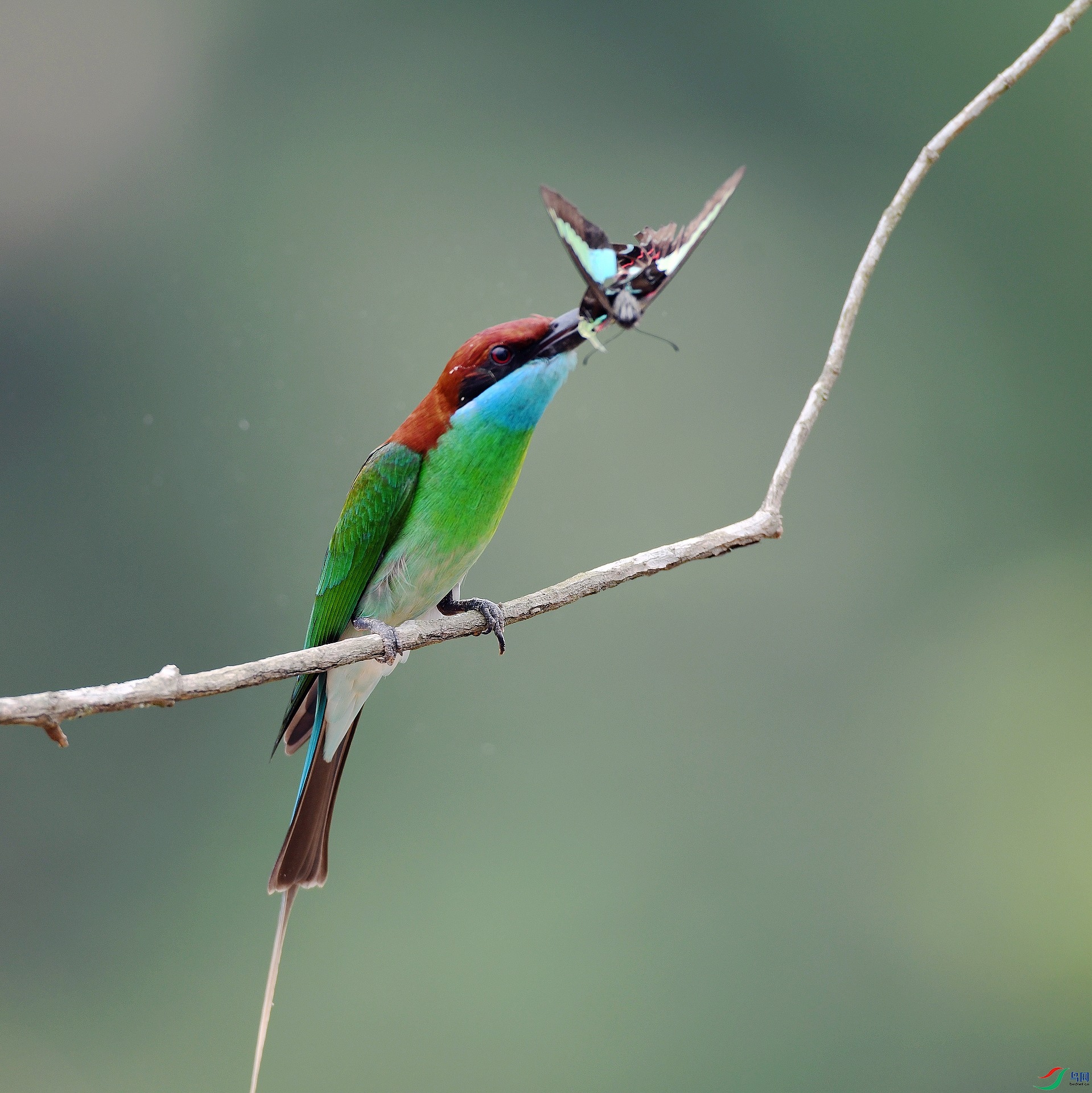 DSC_0391.jpg