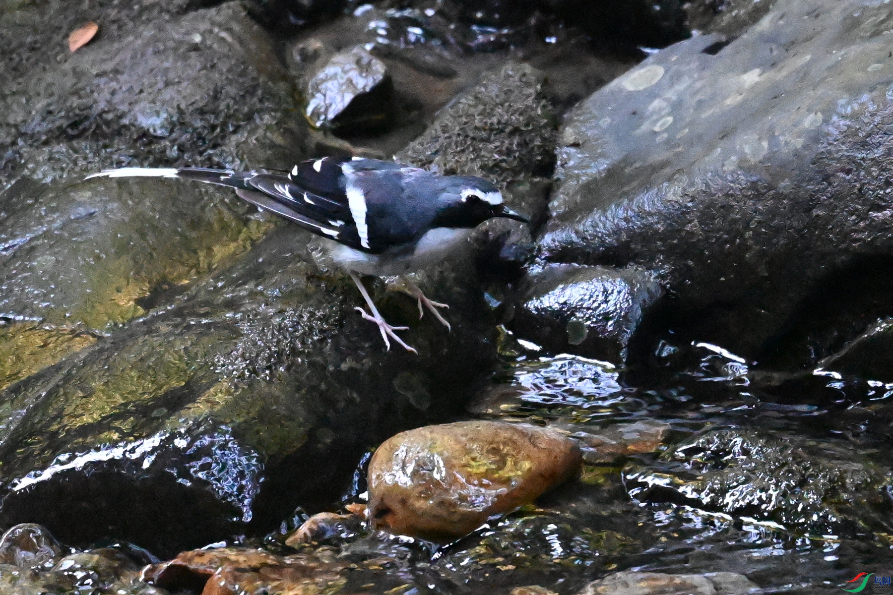 DSC_4252.JPG