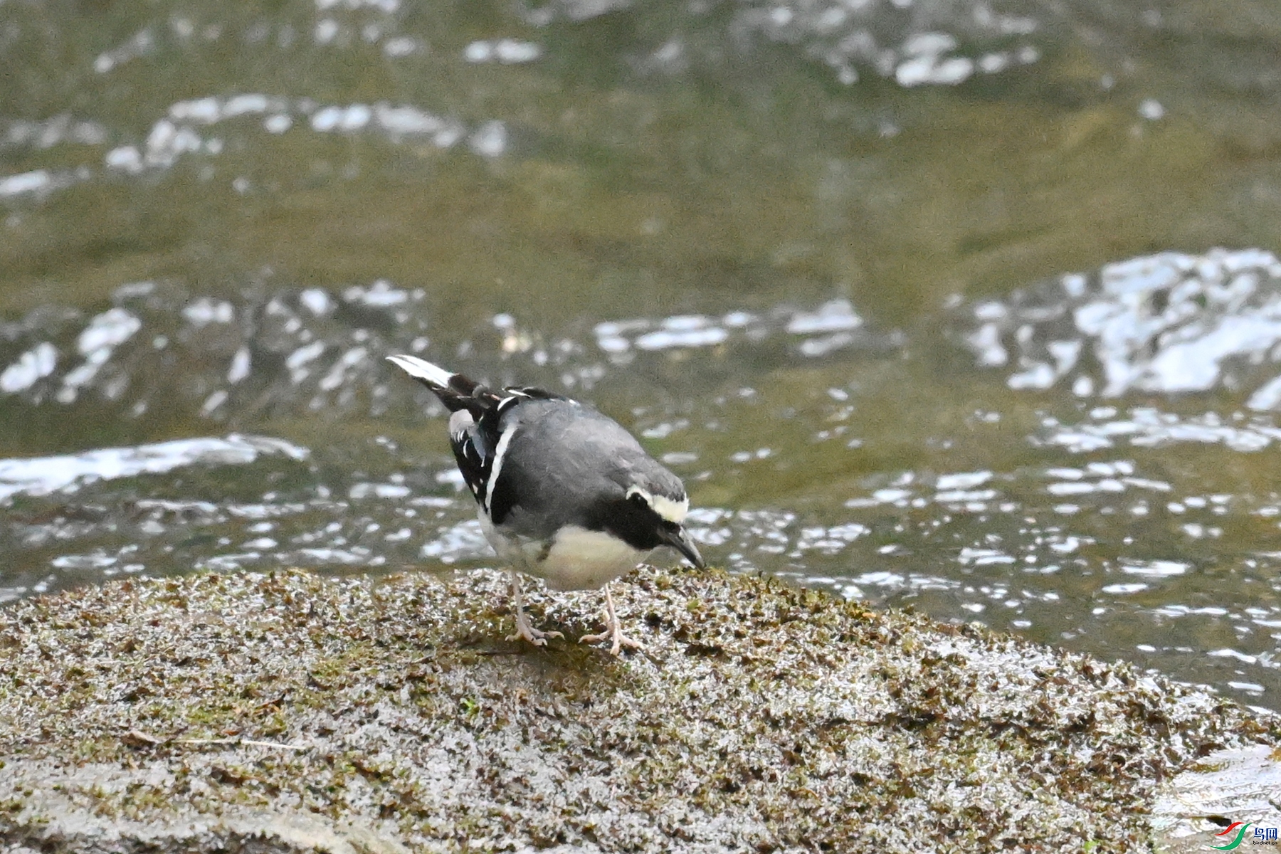 DSC_4280.JPG