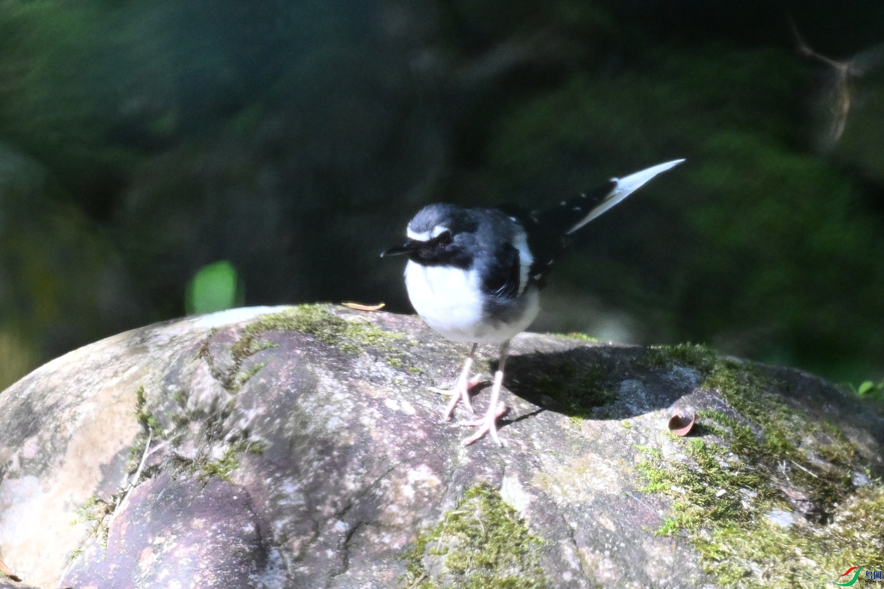 DSC_4302.JPG