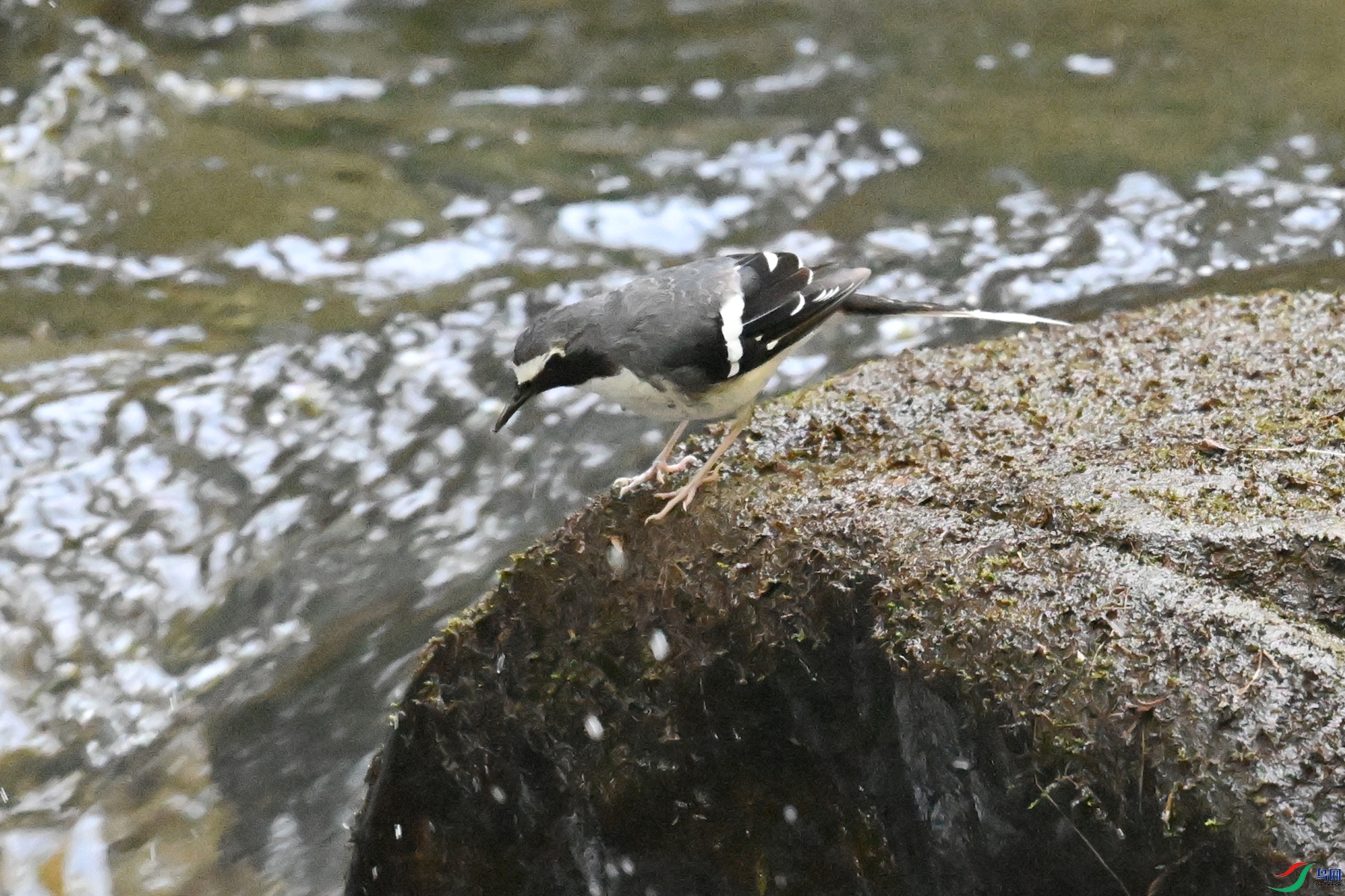 DSC_4283.JPG