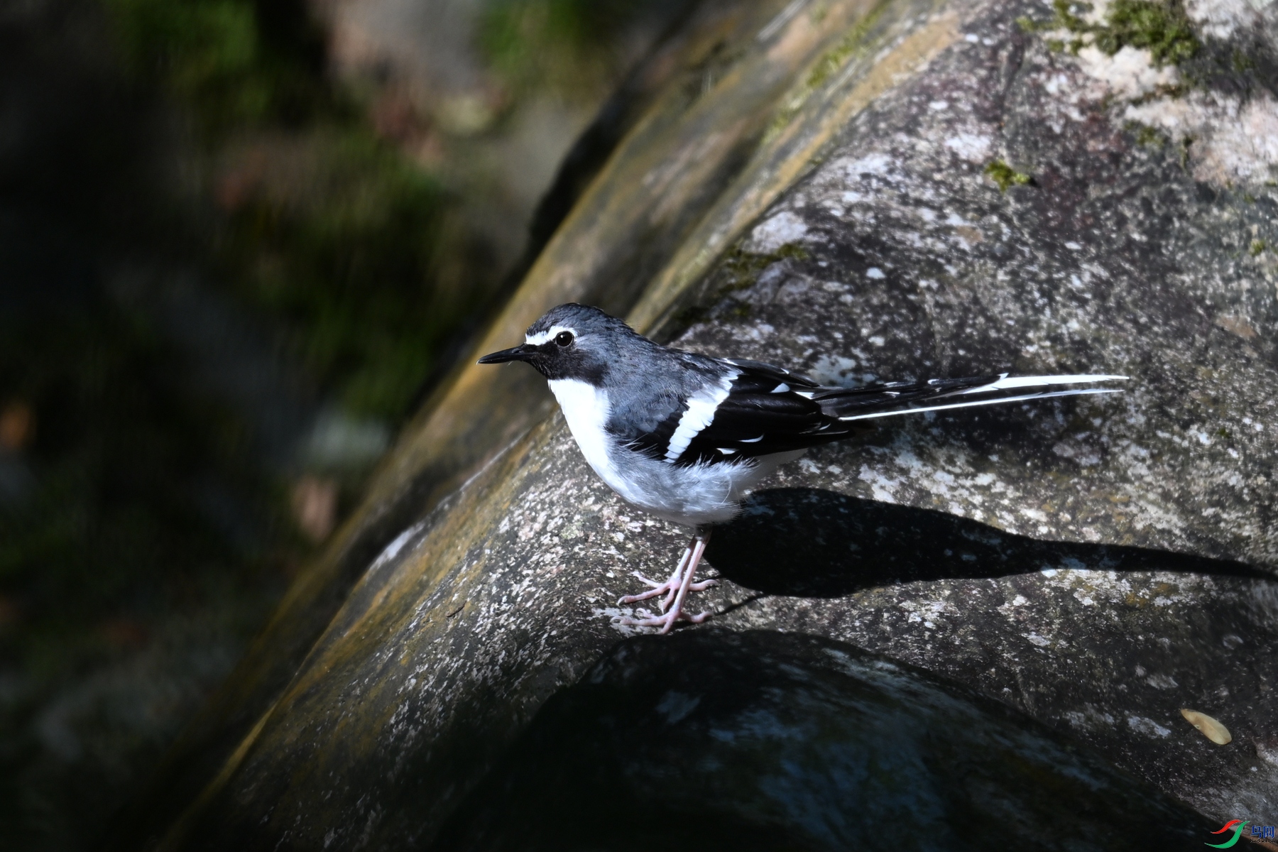 DSC_4305.JPG