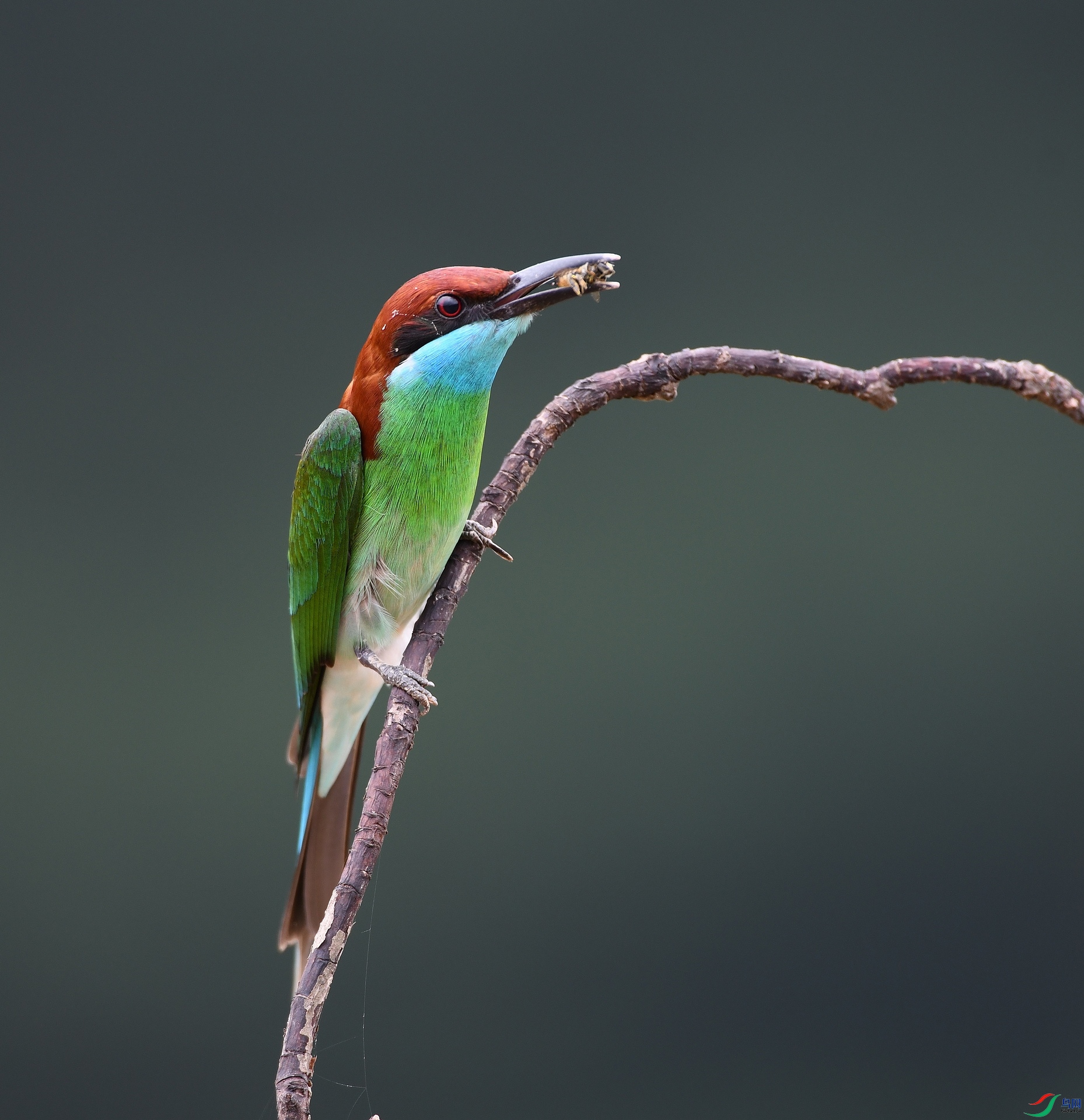 DSC_0365.jpg