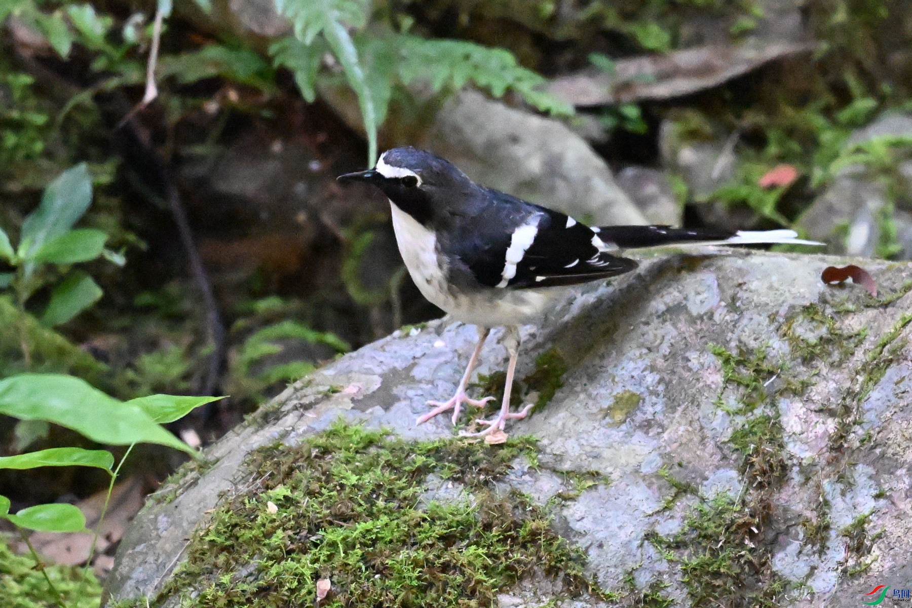 DSC_4261.JPG