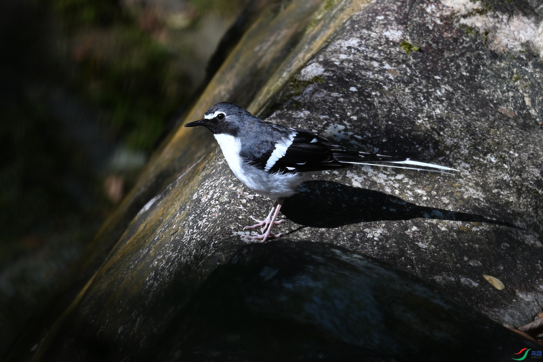 DSC_4308.JPG
