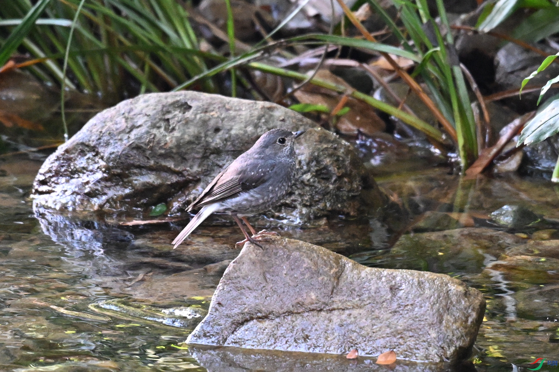 DSC_4328.JPG