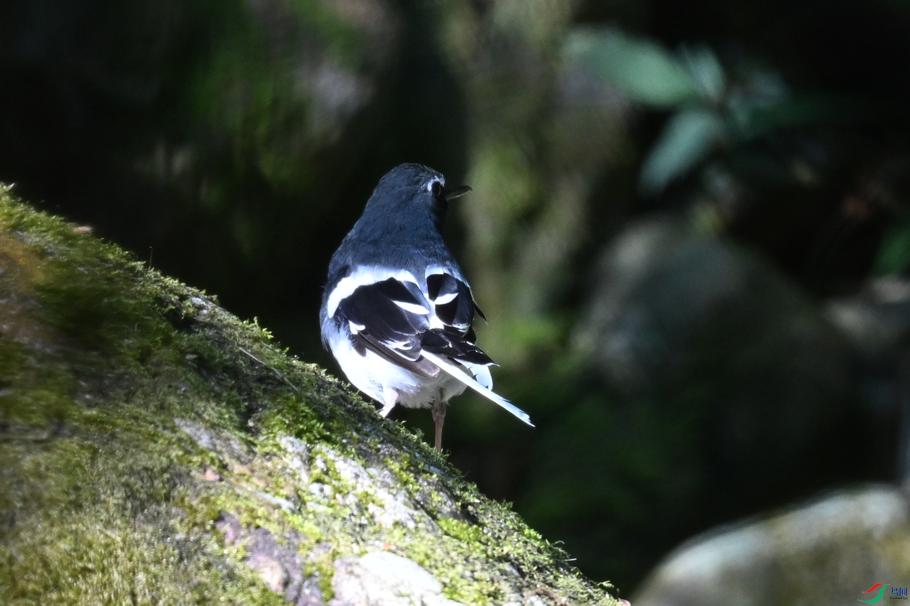 DSC_4292.JPG