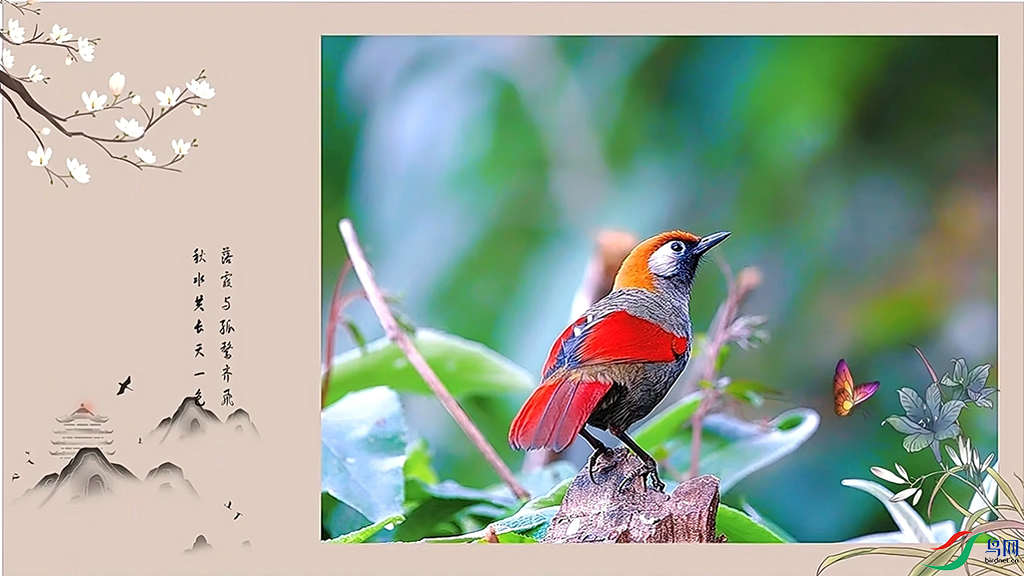 f50d87969ec12336c3aee49e6bc49ba8_720.png