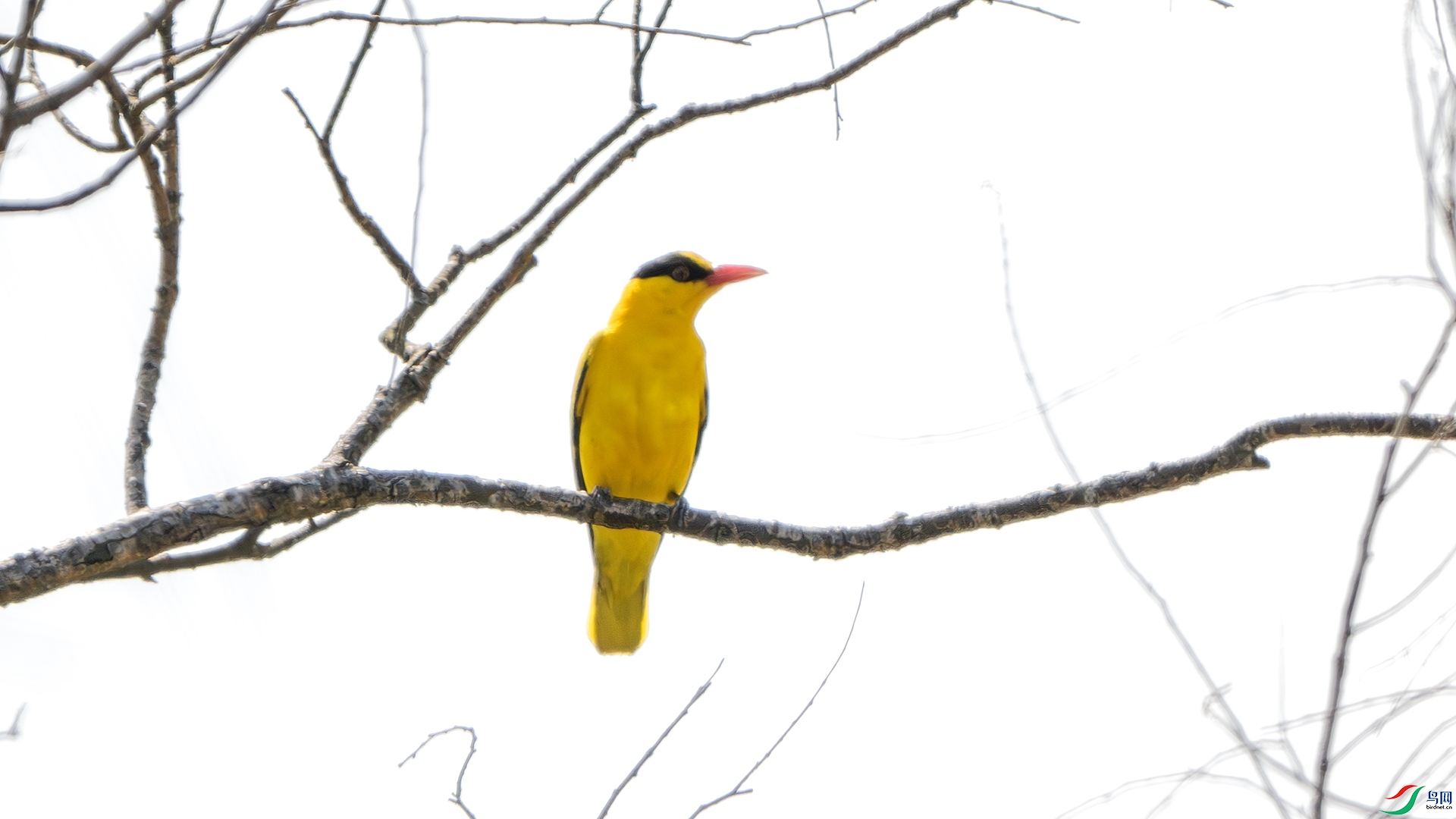 DSC_9882-����ǿ-NR ����.jpg