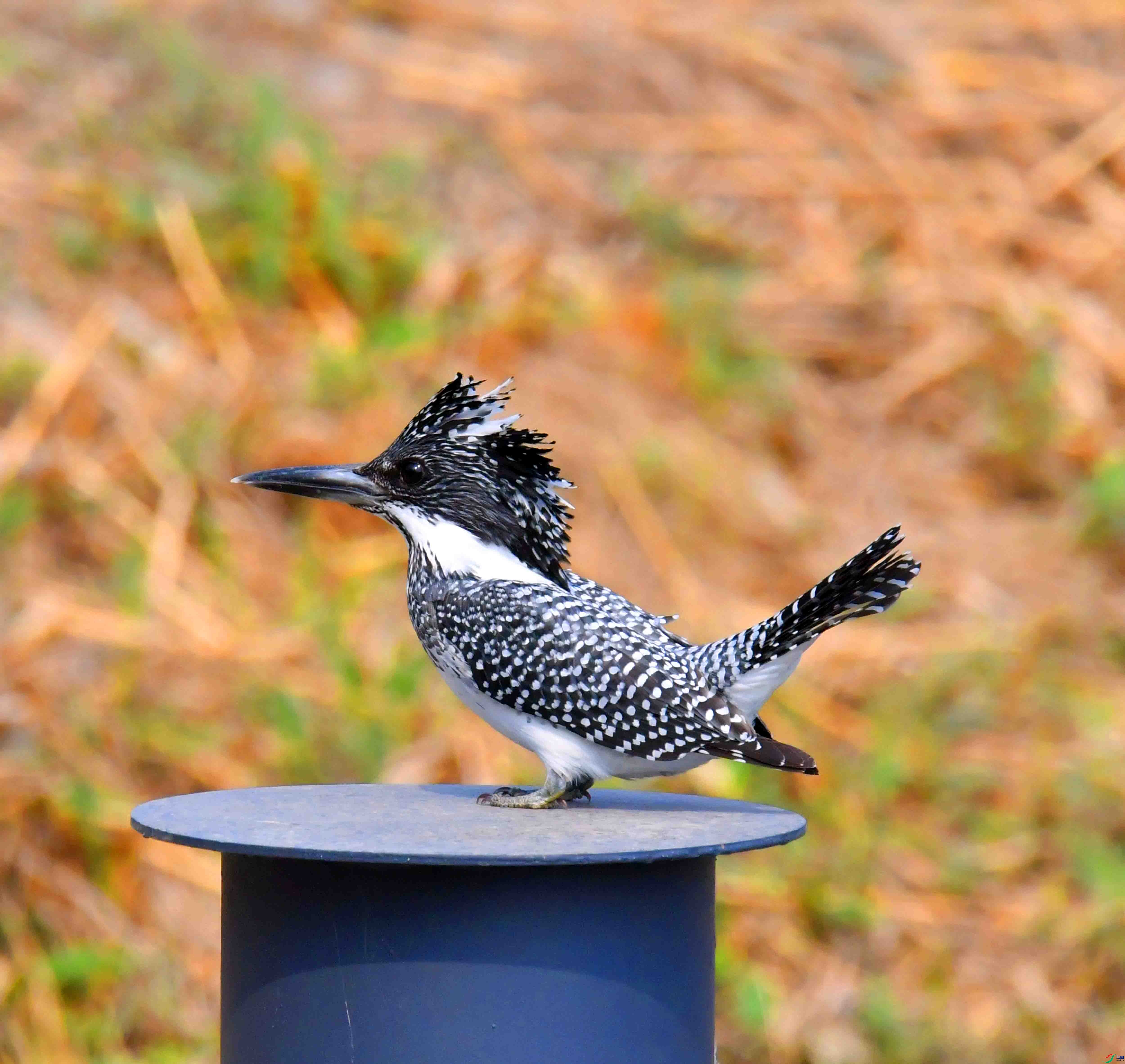 DSC_0364.JPG