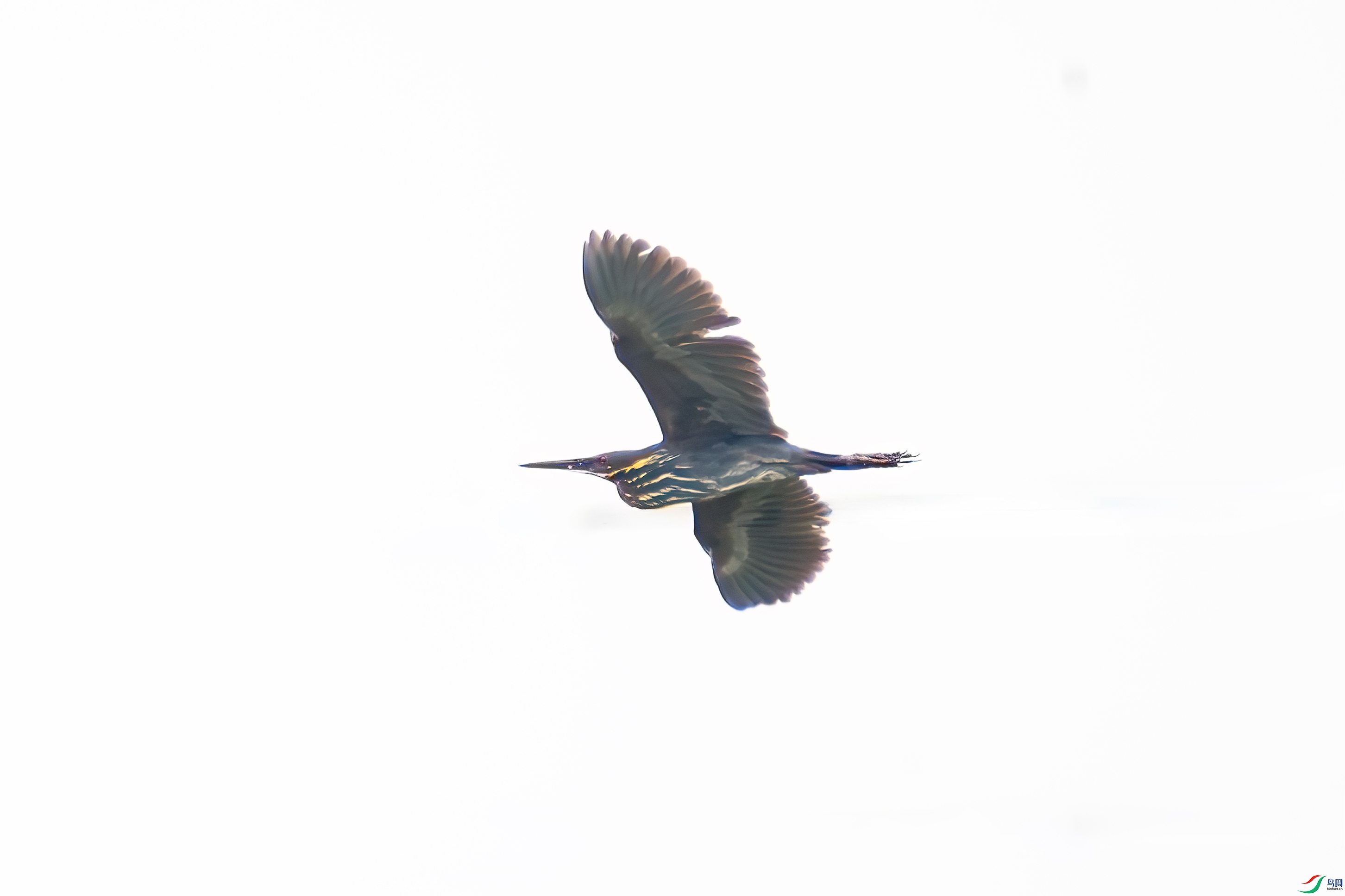_DSC8073.jpg
