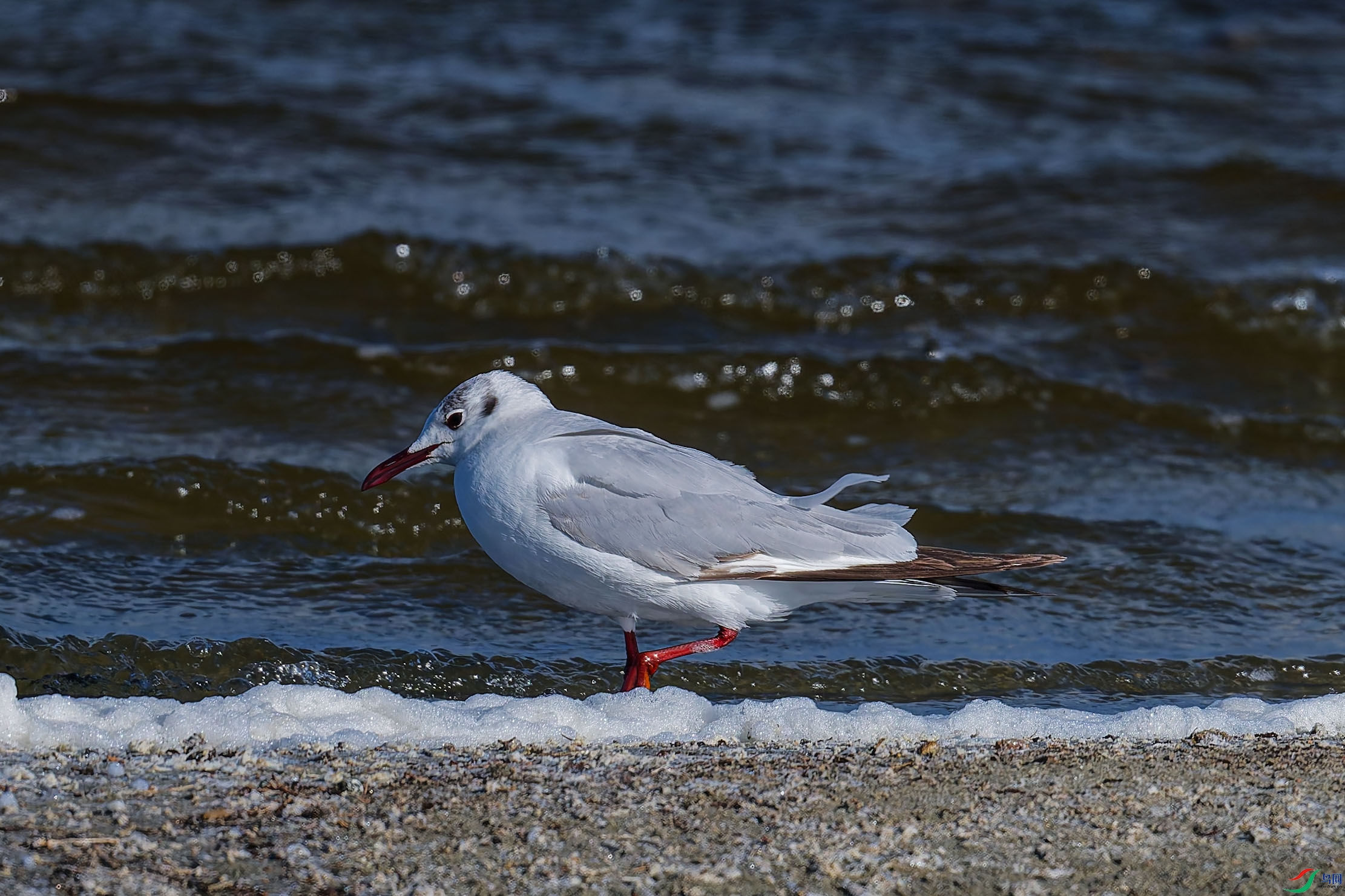DSC_8289_DxO ����.jpg