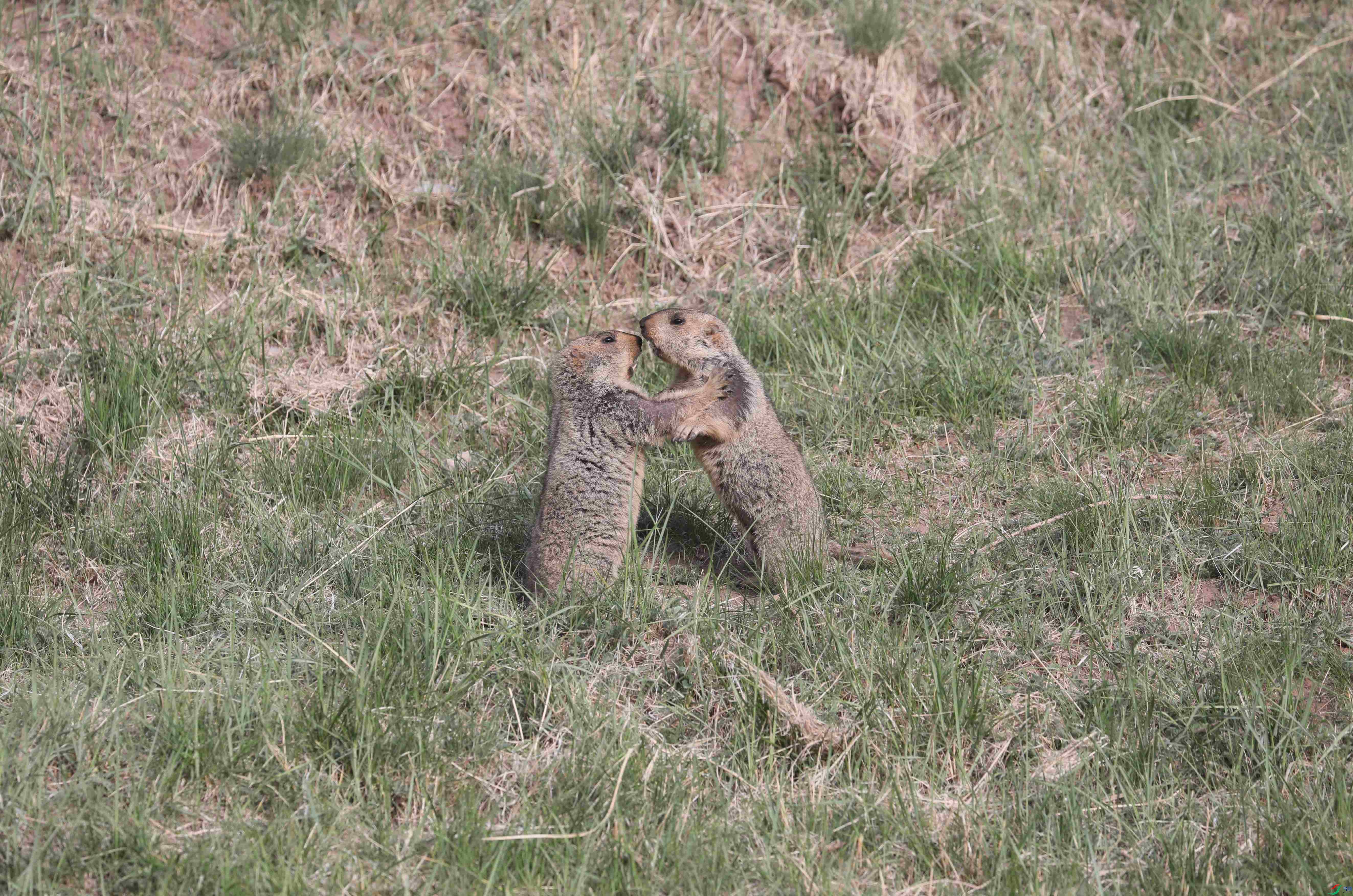BL7A2314.JPG