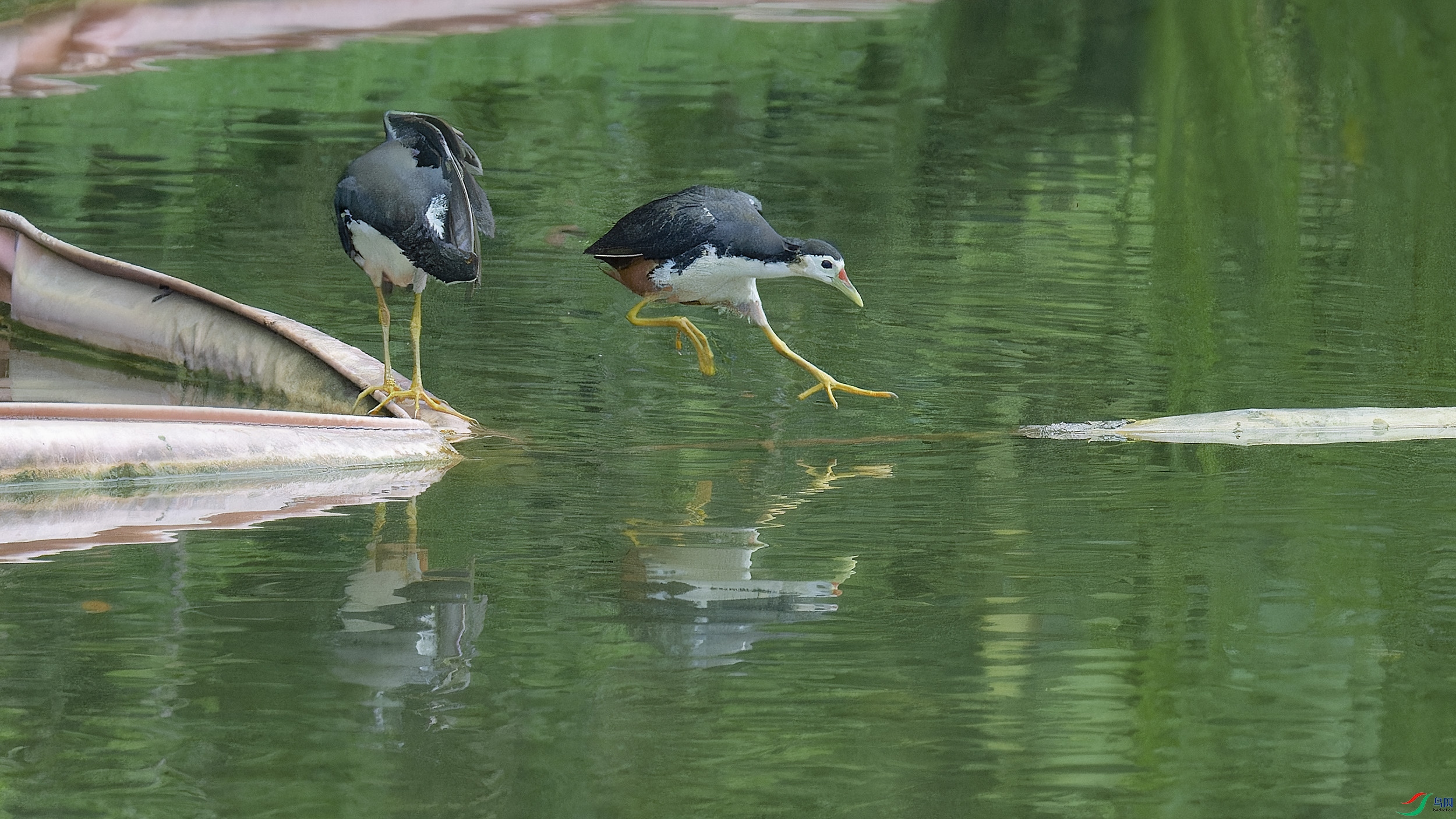 DSC_8509_DxO.jpg