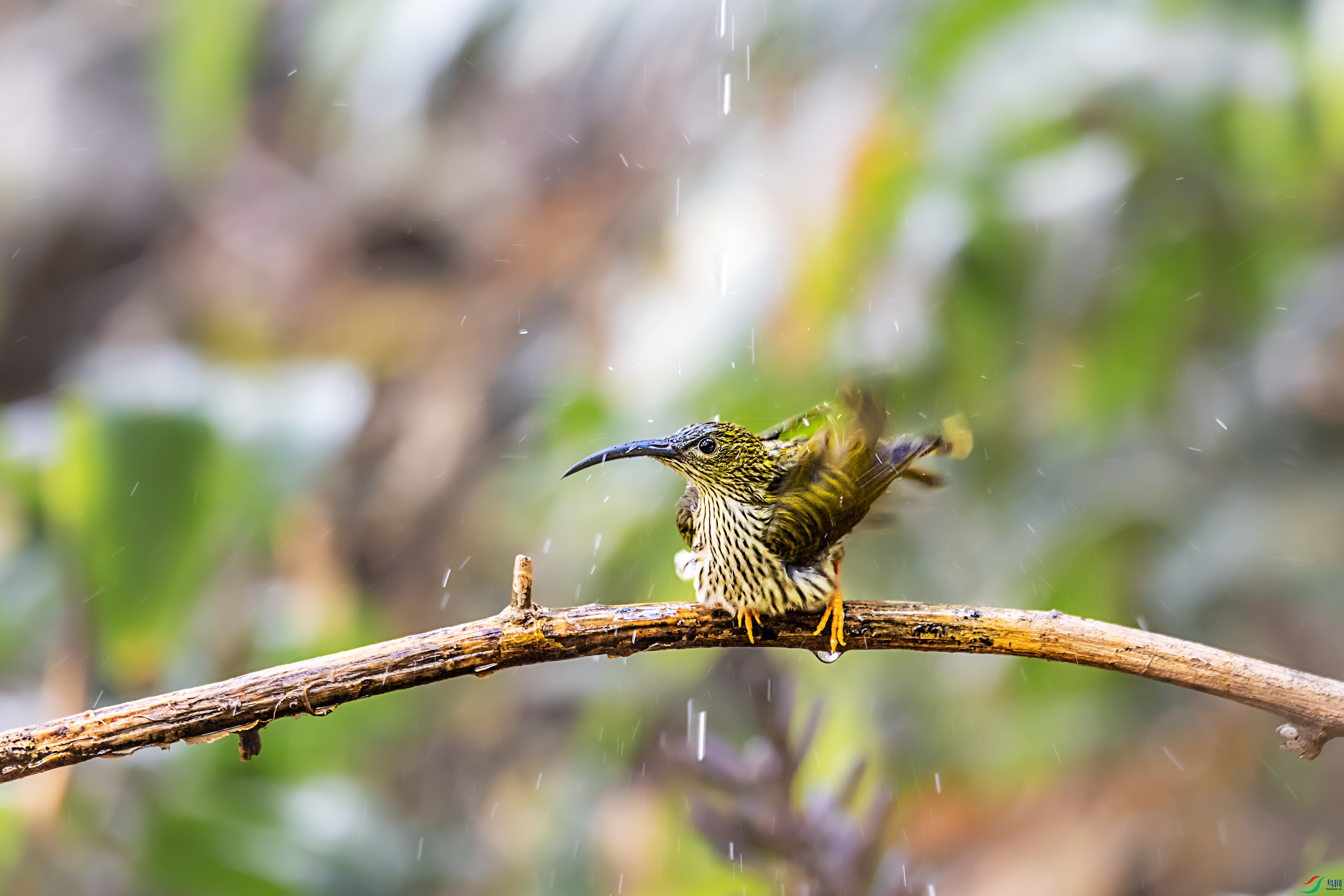 278A7413.jpg