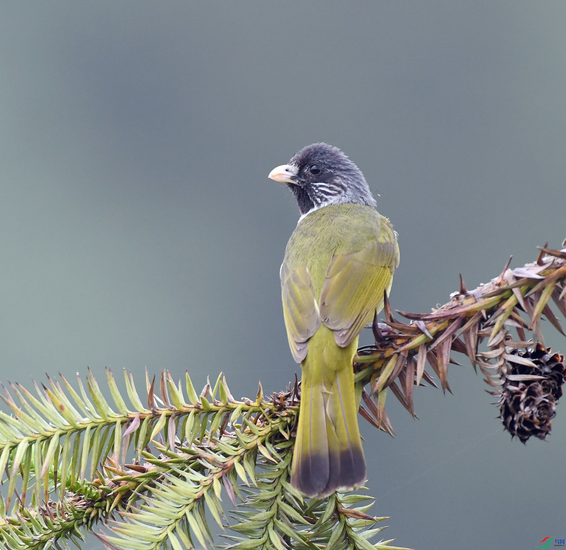 DSC_9569.jpg