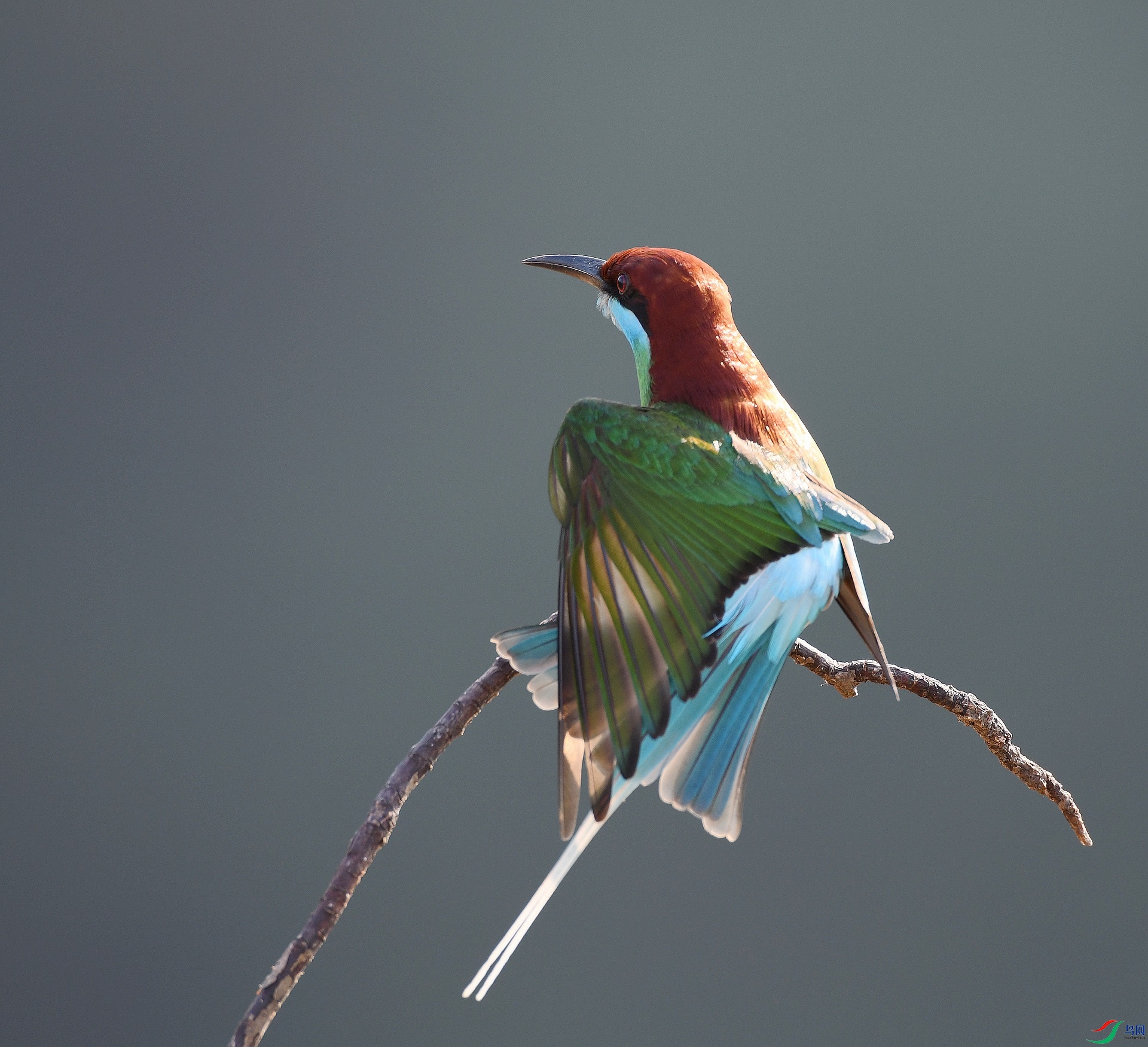 DSC_3947.jpg