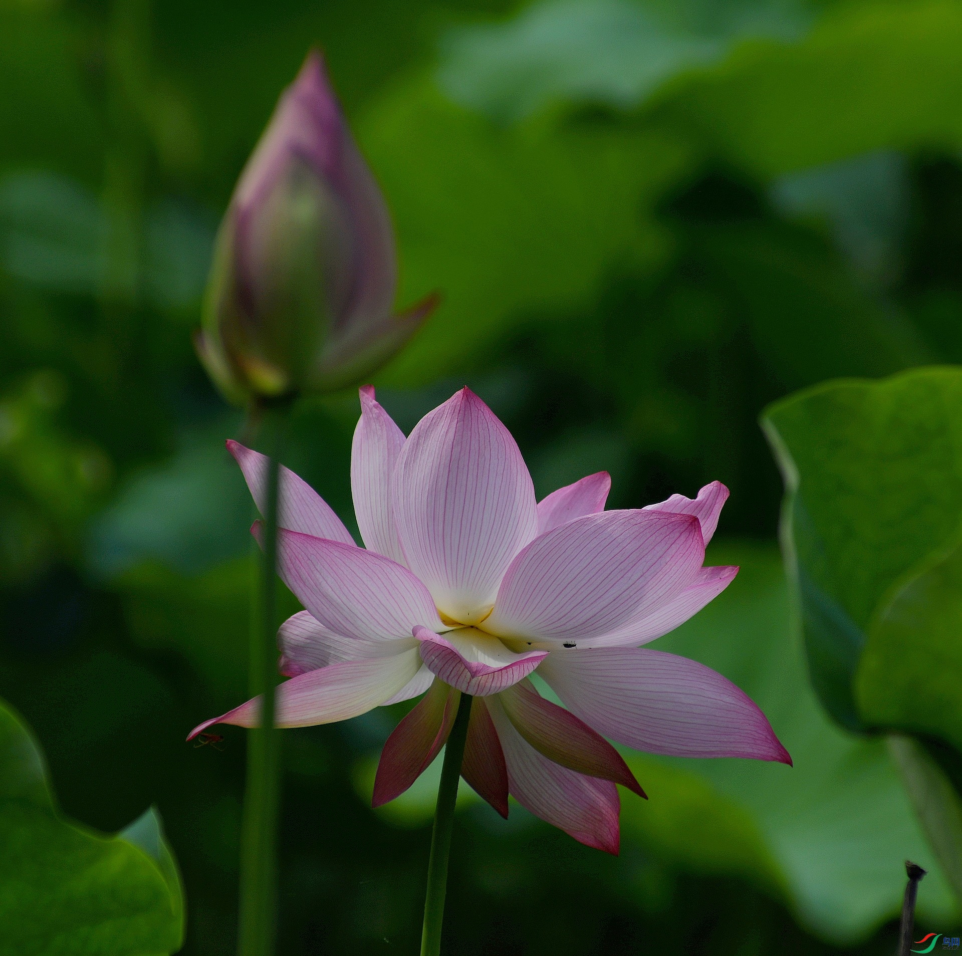 DSC_4812.jpg