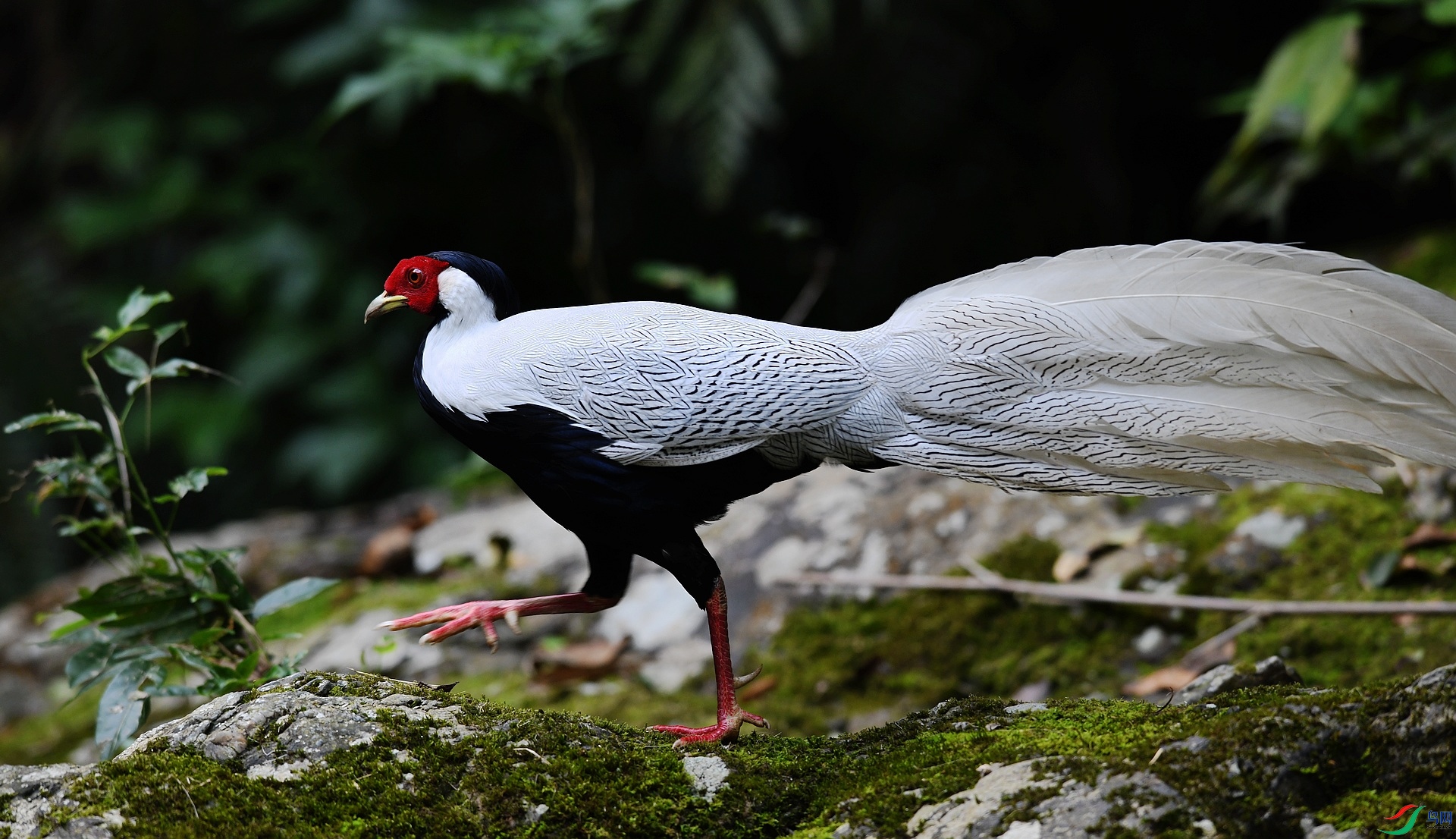 DSC_5135.jpg