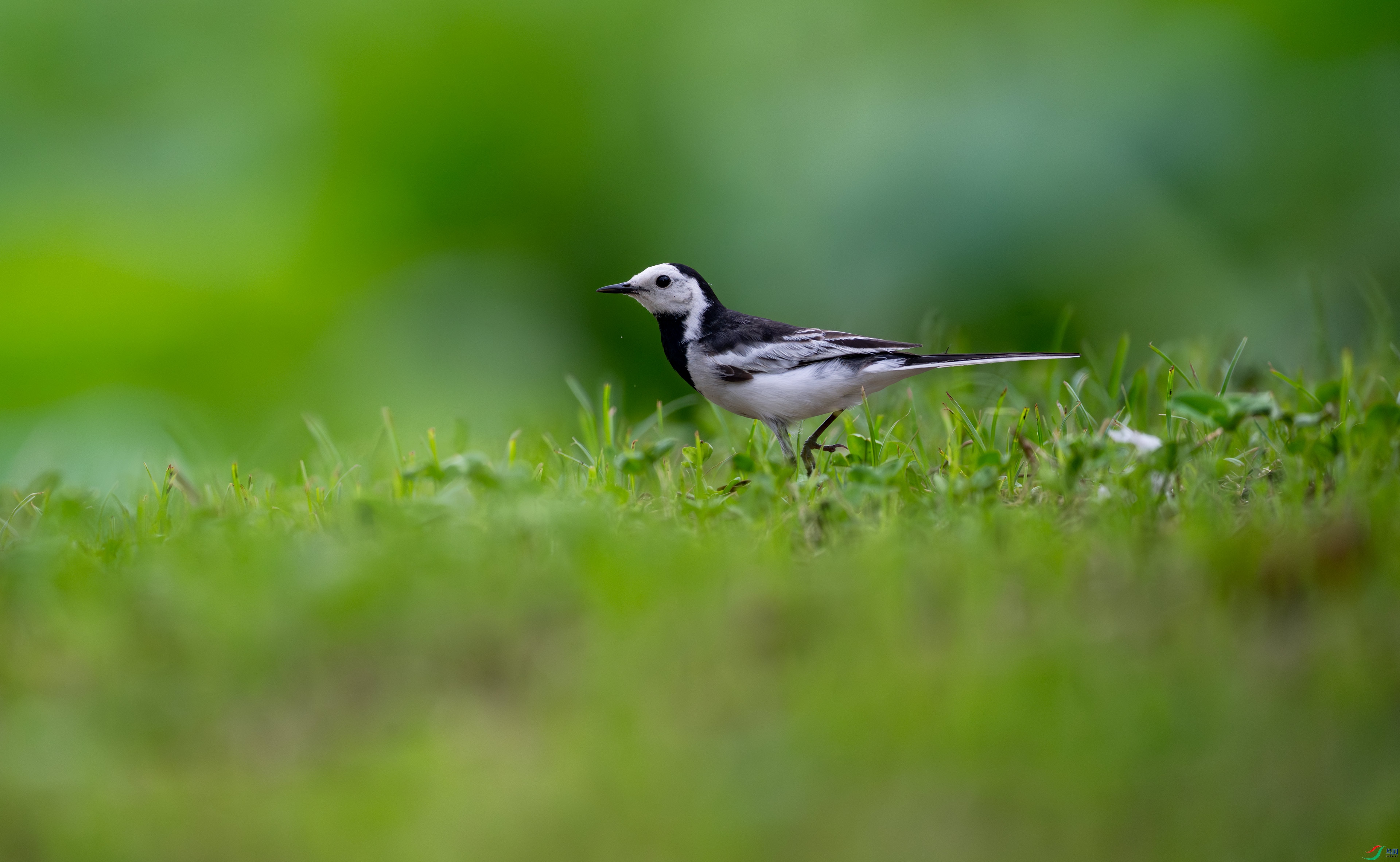 DSC_6641.jpg