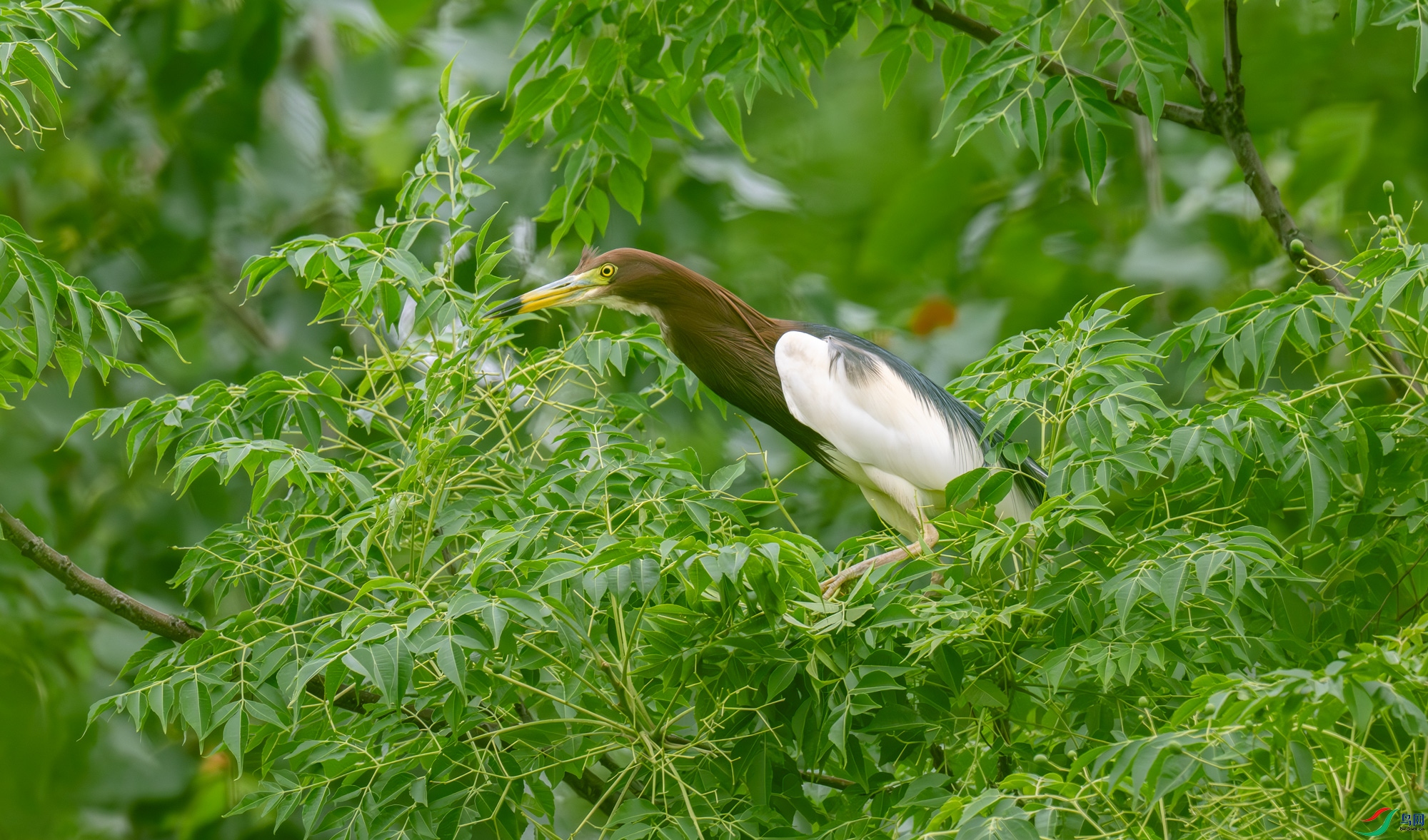 DSC_7213.jpg