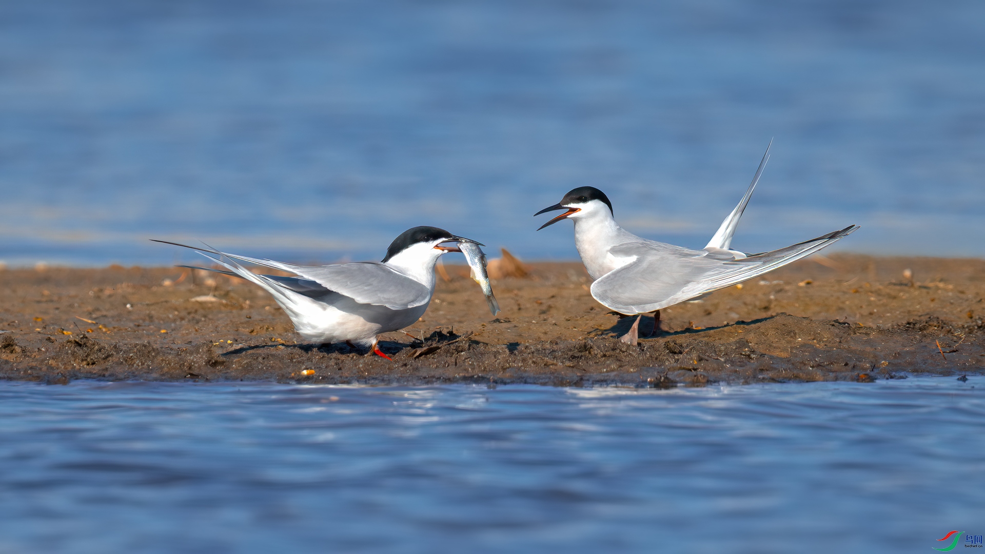 _DSC4362-1xx.jpg