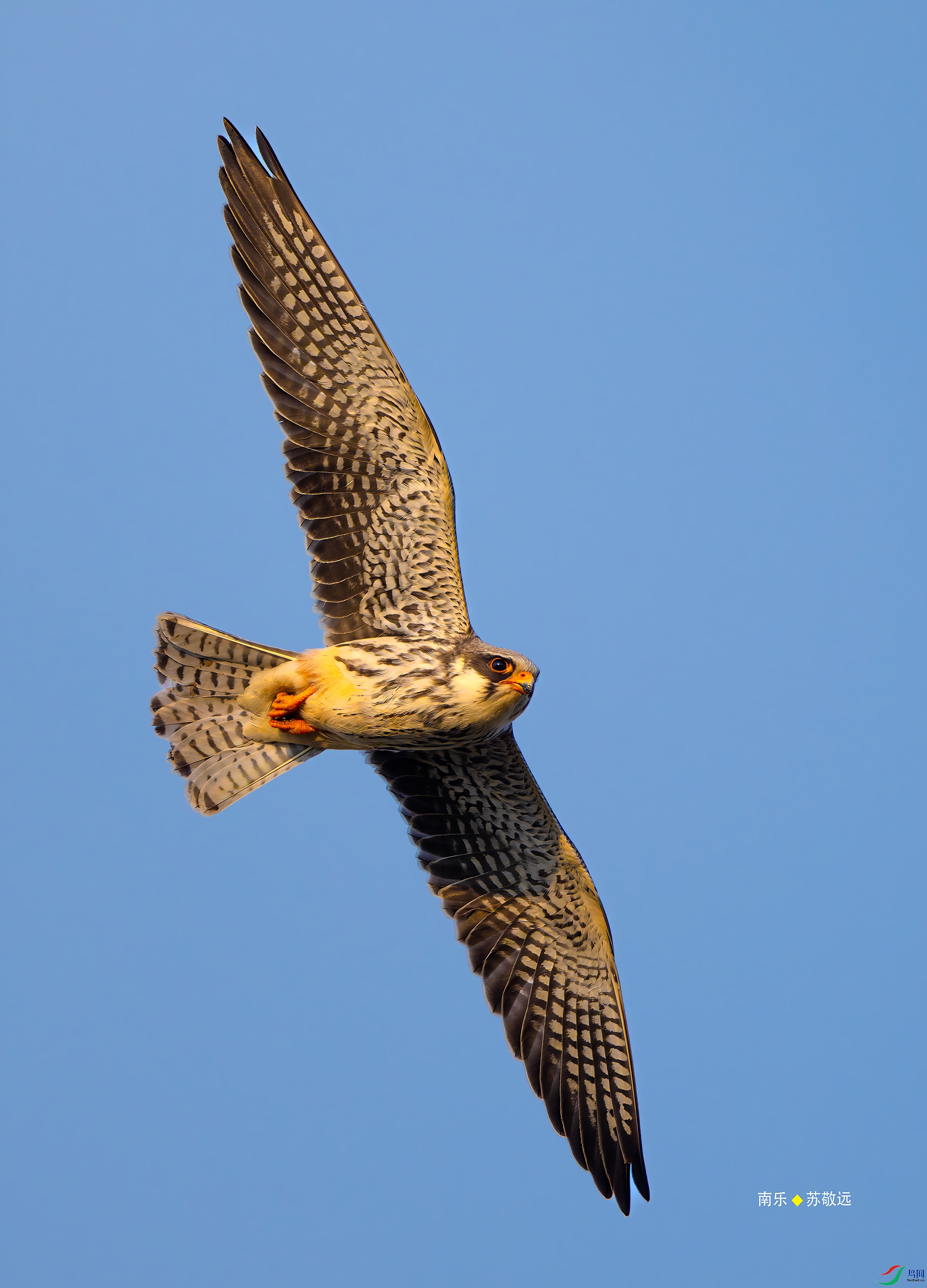 _DSC5380-DxO_С.jpg
