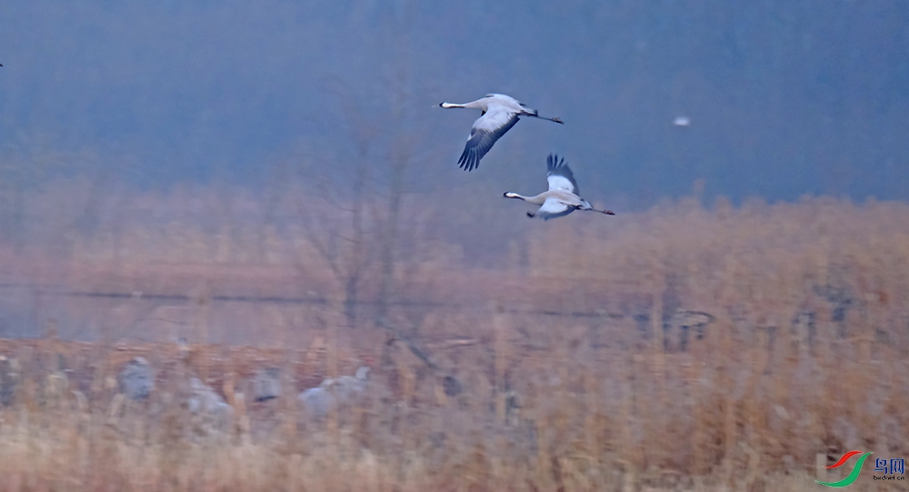DSCF1214.1.jpg