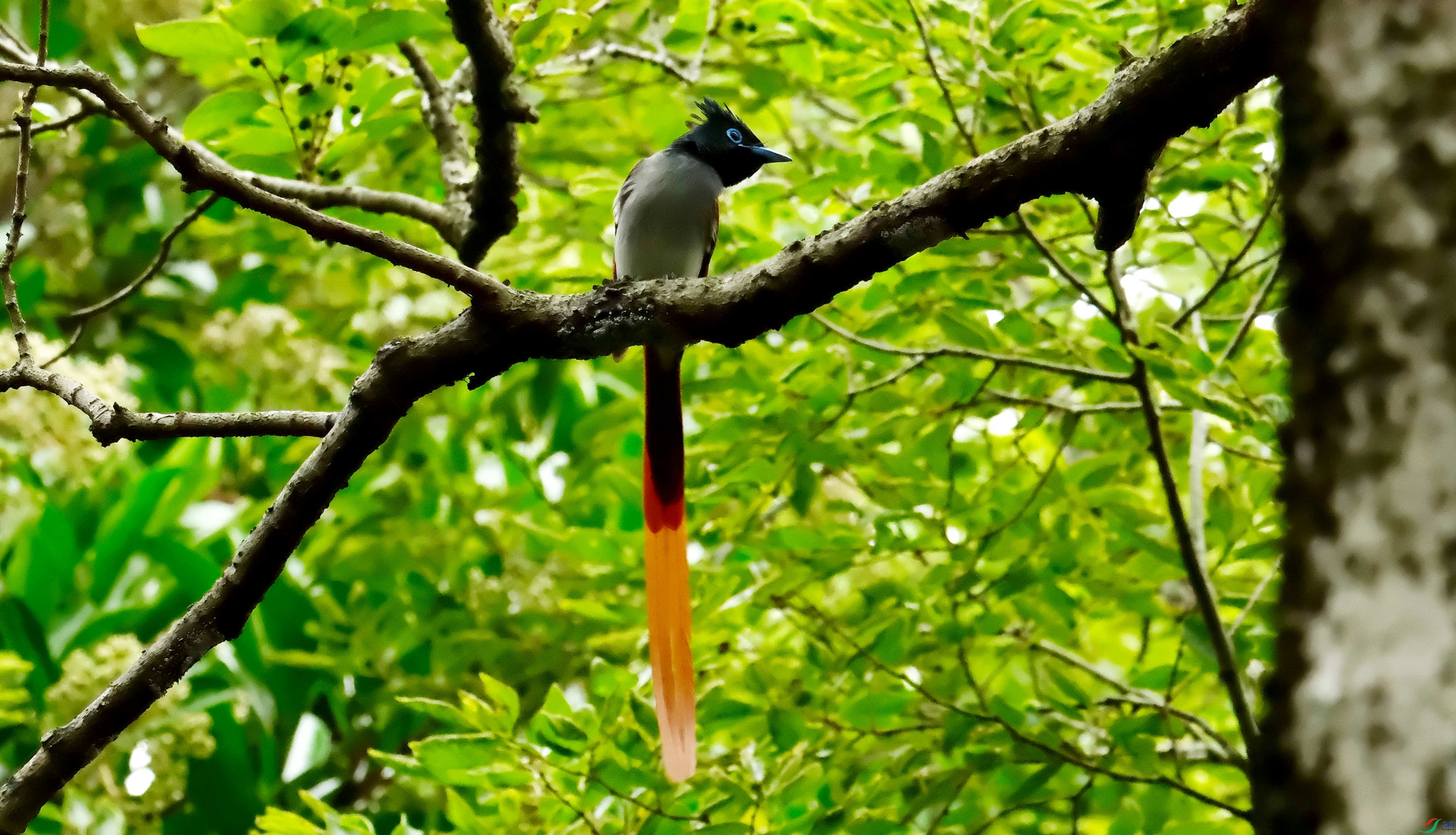 DSCF7474.jpg