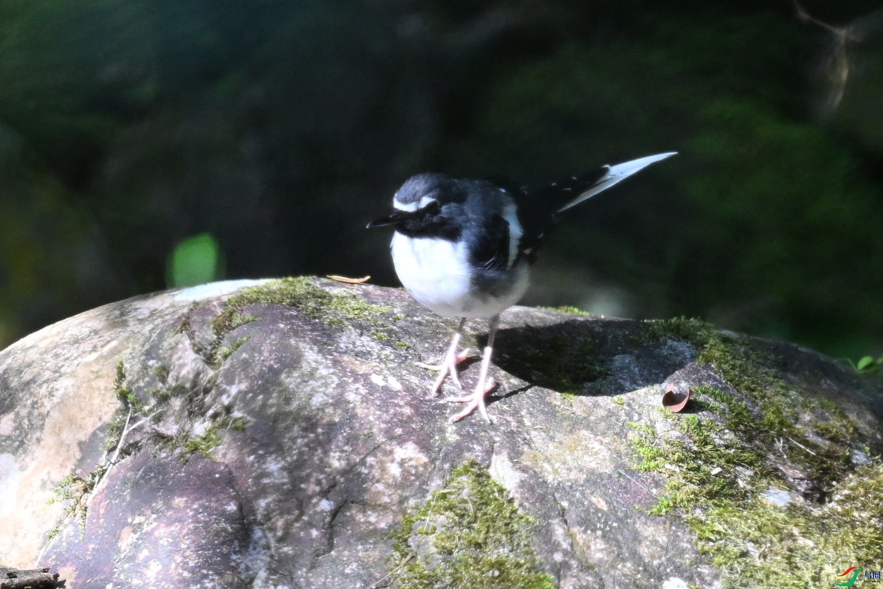 DSC_4304.JPG