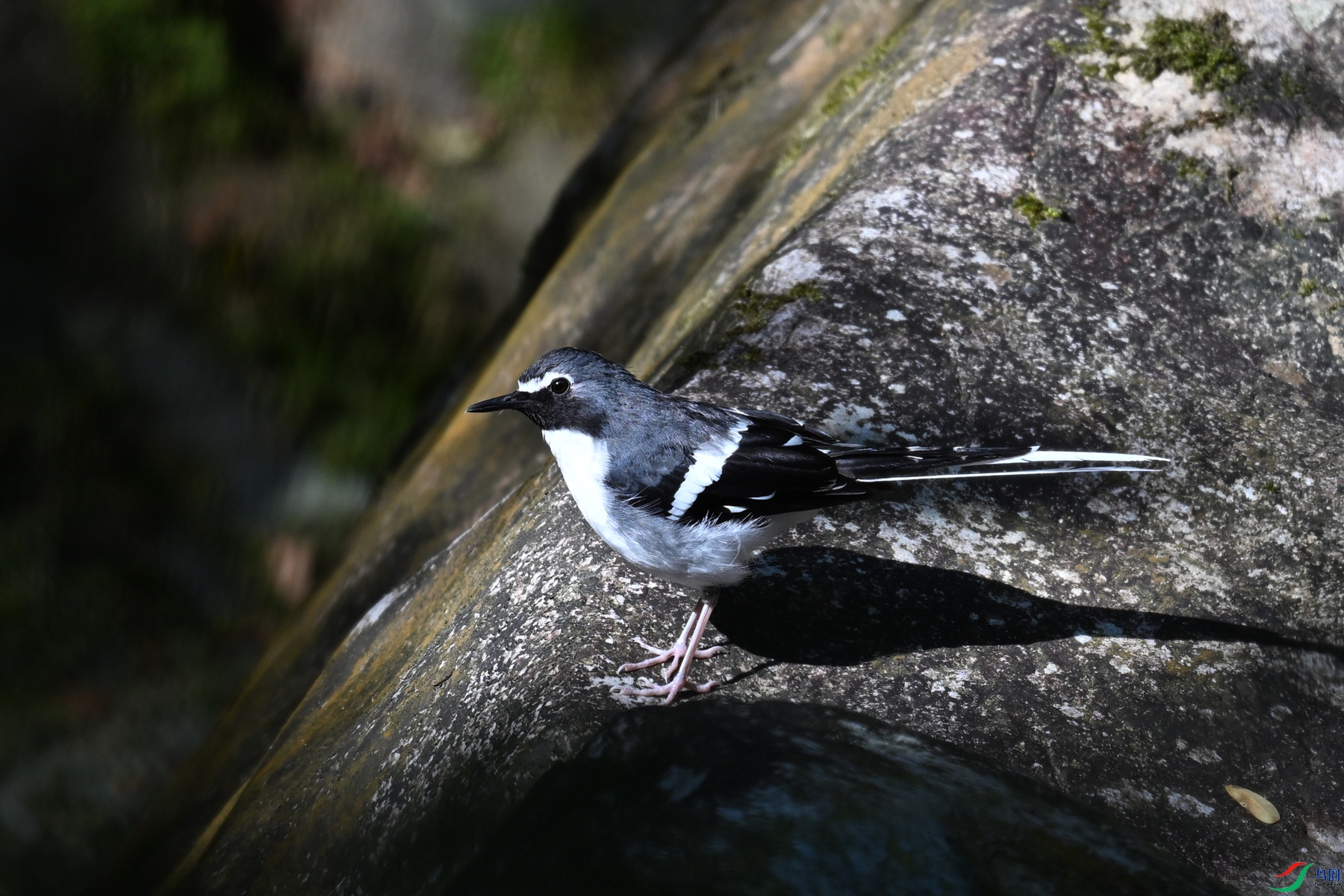 DSC_4307.JPG