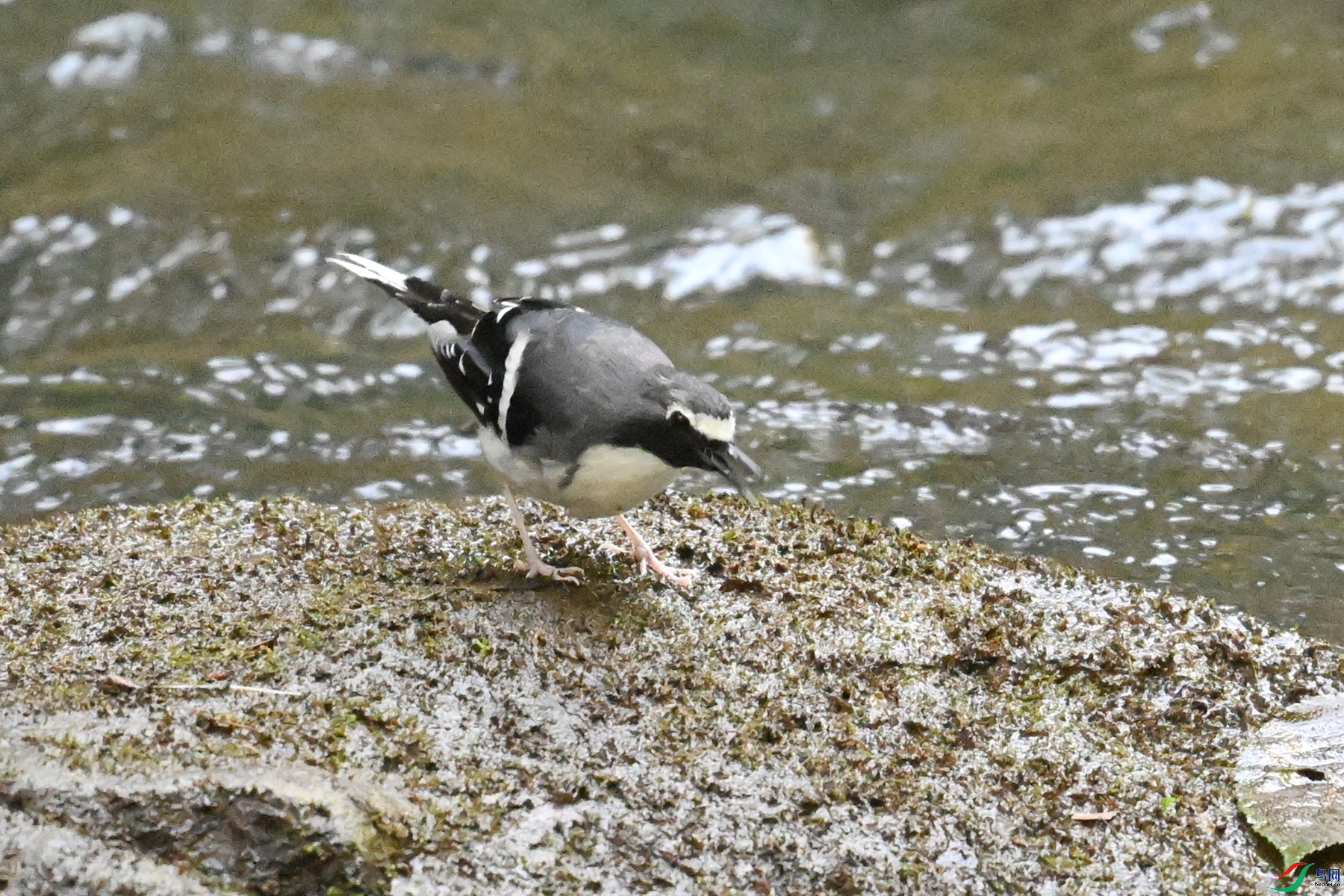 DSC_4281.JPG