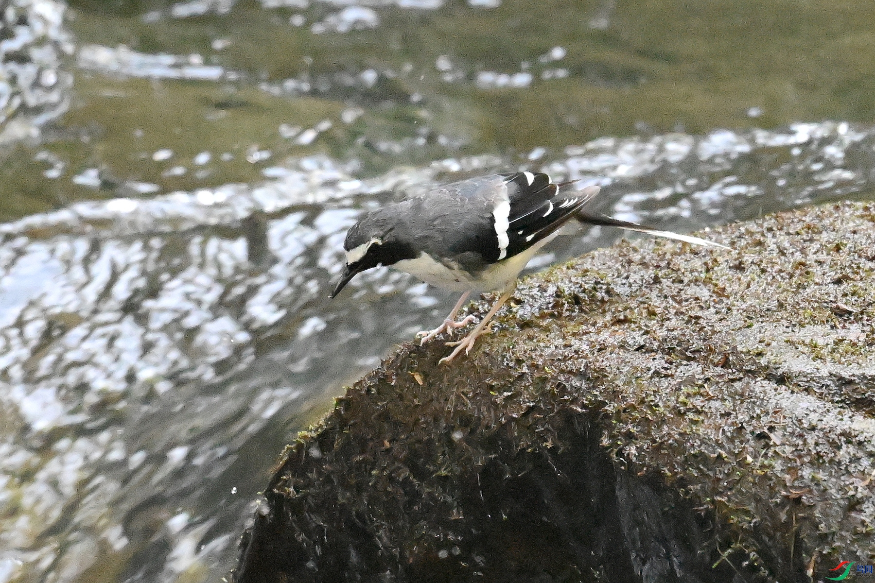 DSC_4285.JPG