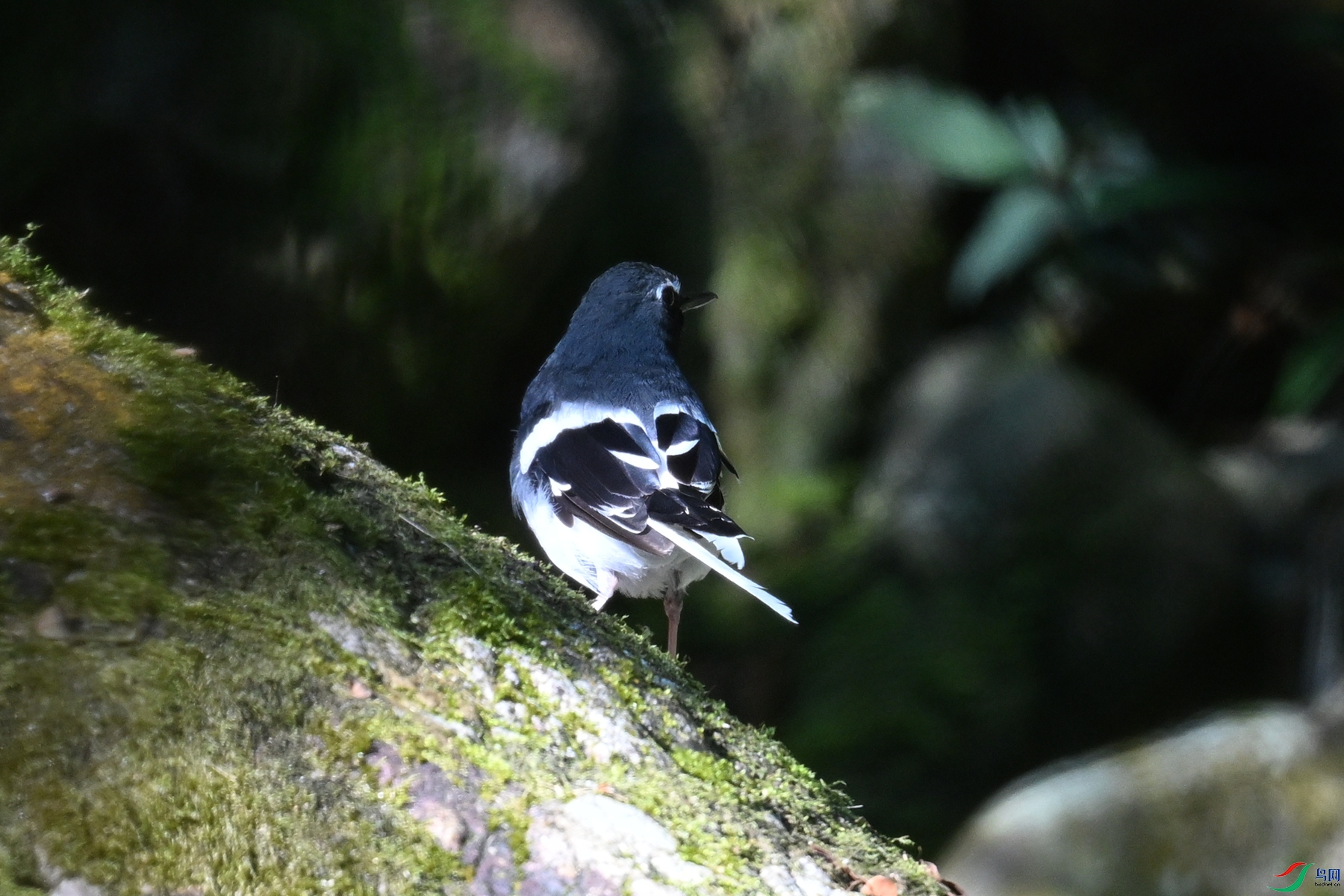 DSC_4291.JPG
