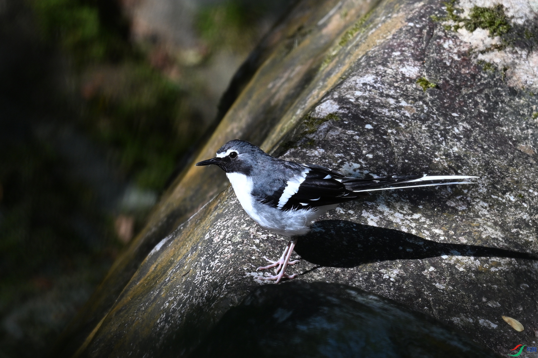 DSC_4306.JPG