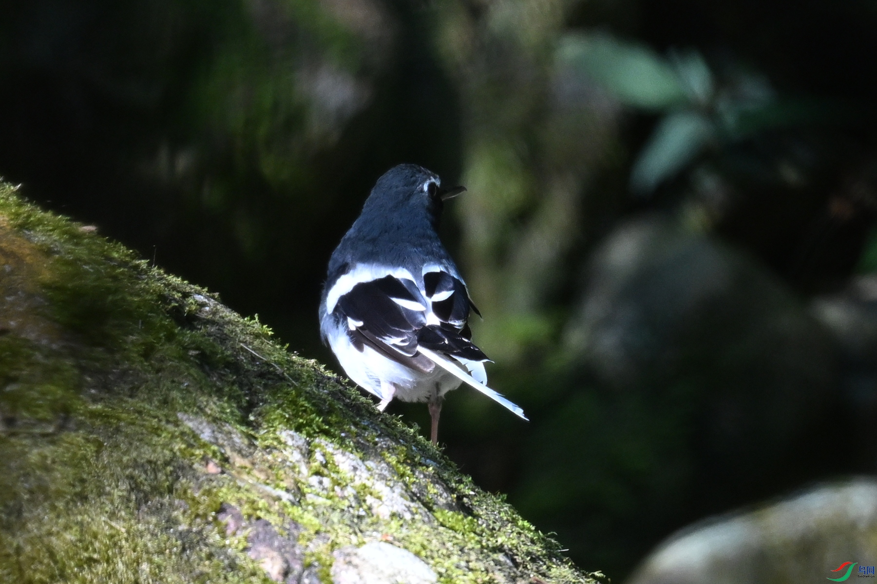 DSC_4293.JPG