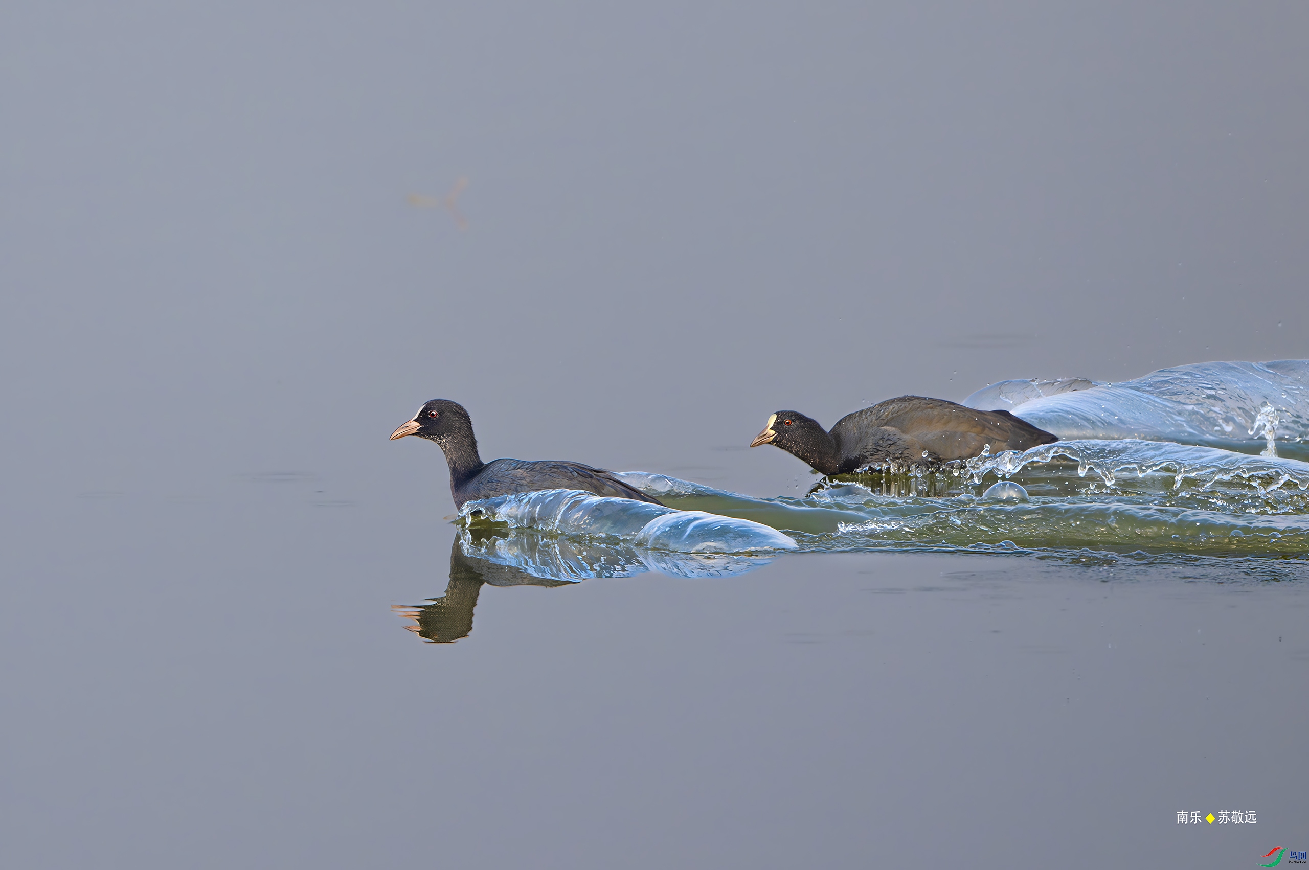 _DSC5513-DxO_С.jpg