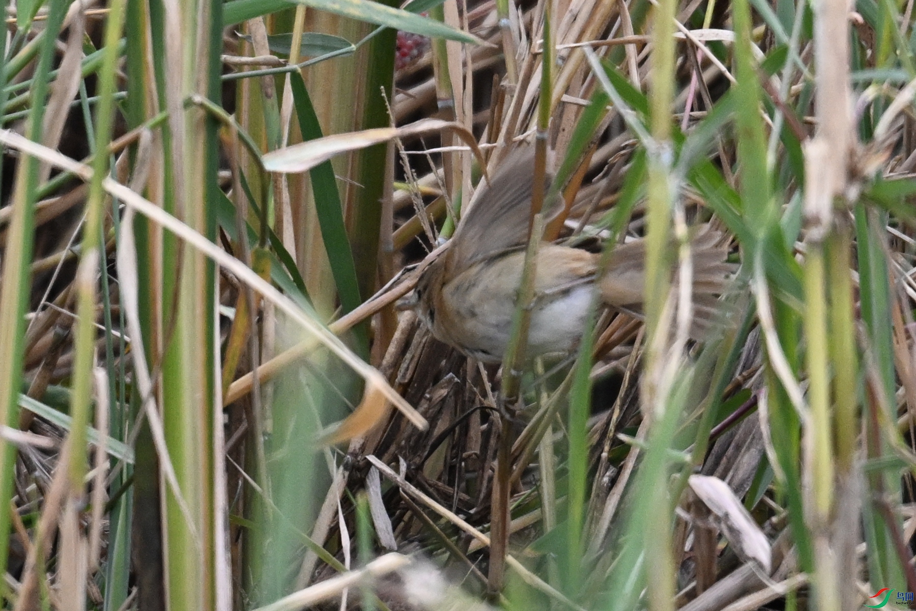 DSC_9012.JPG