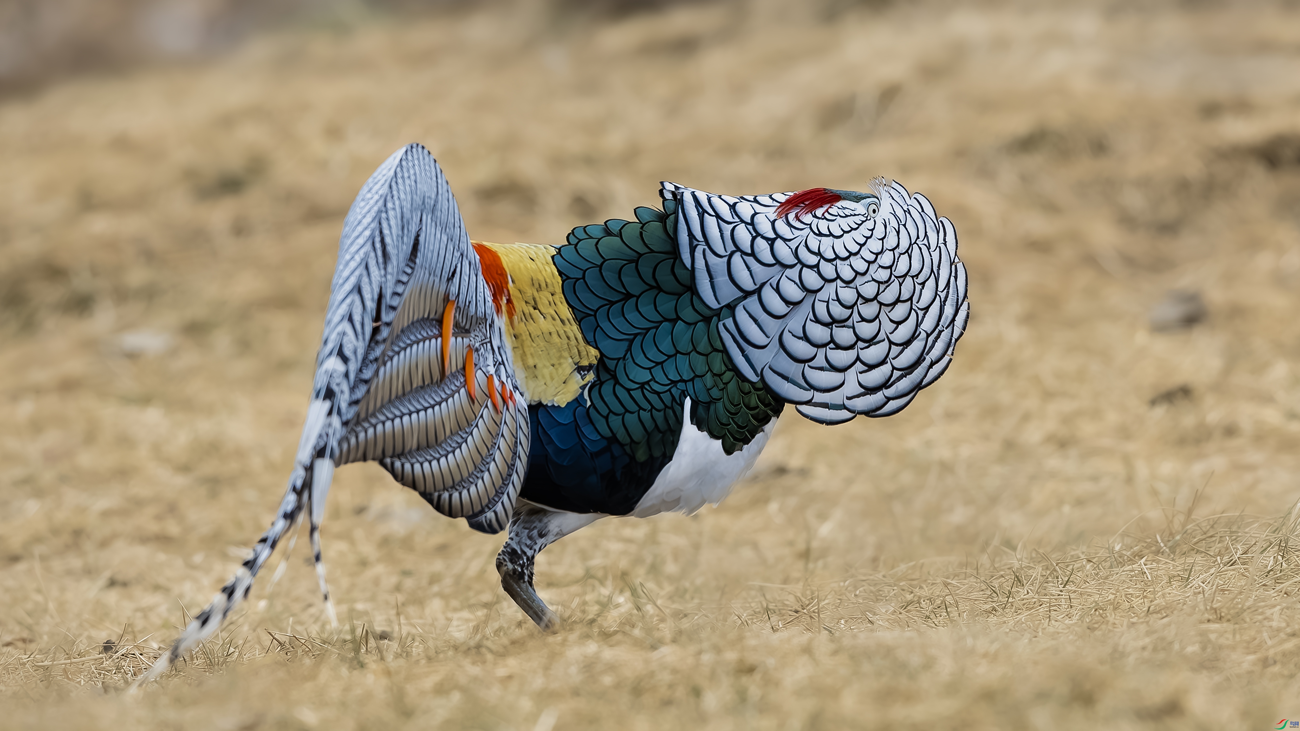 _O7A2136-5555 22.jpg