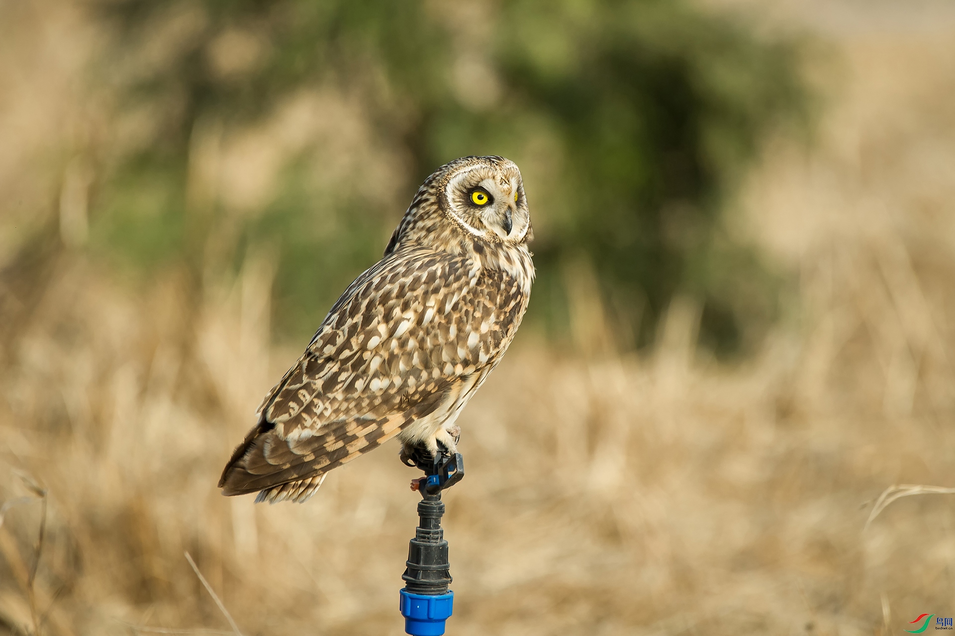 DSC_0995-20201221�ü�.jpg
